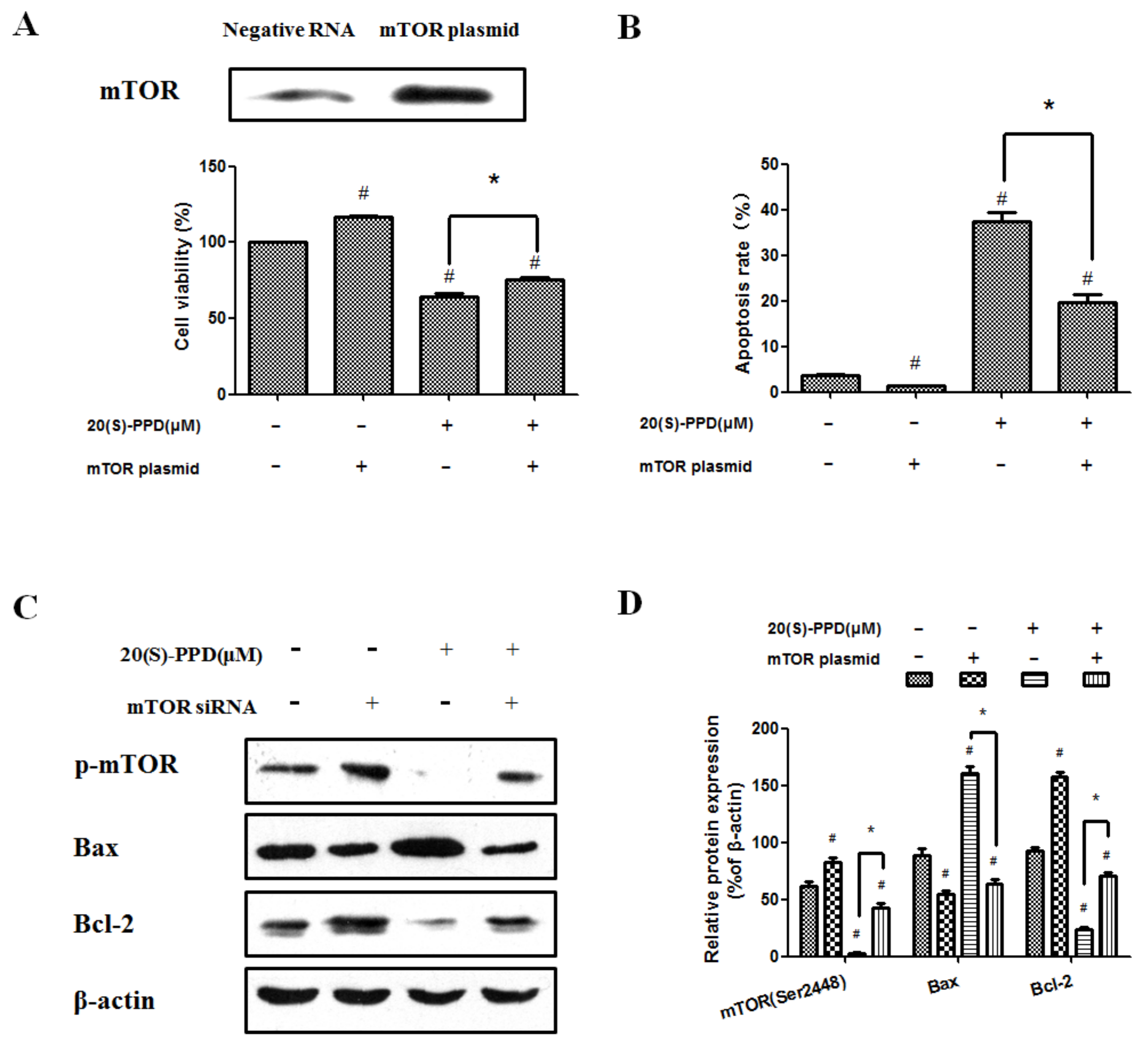 Ijms 19 01053 g004 Ijms 19 01053 g004
