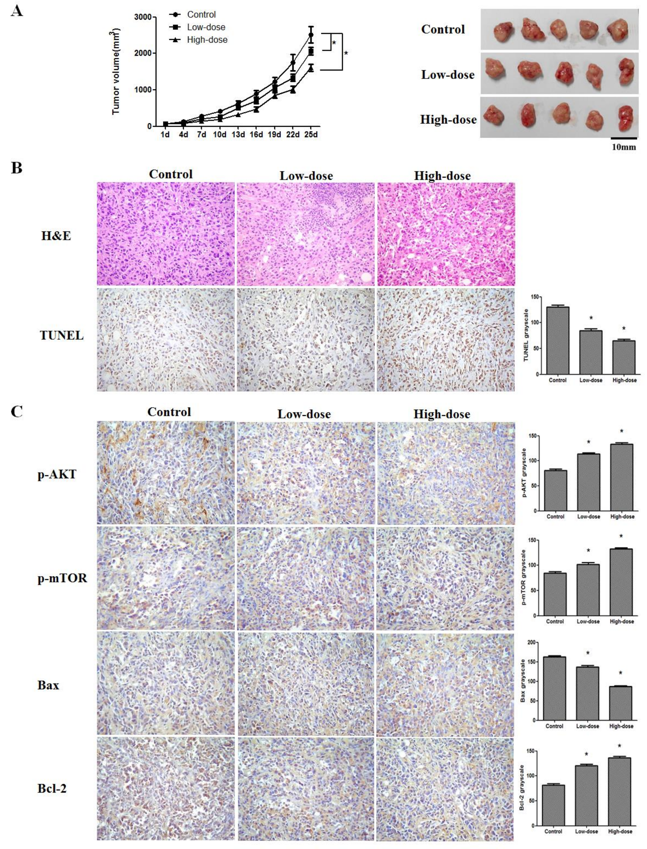 Ijms 19 01053 g006 Ijms 19 01053 g006