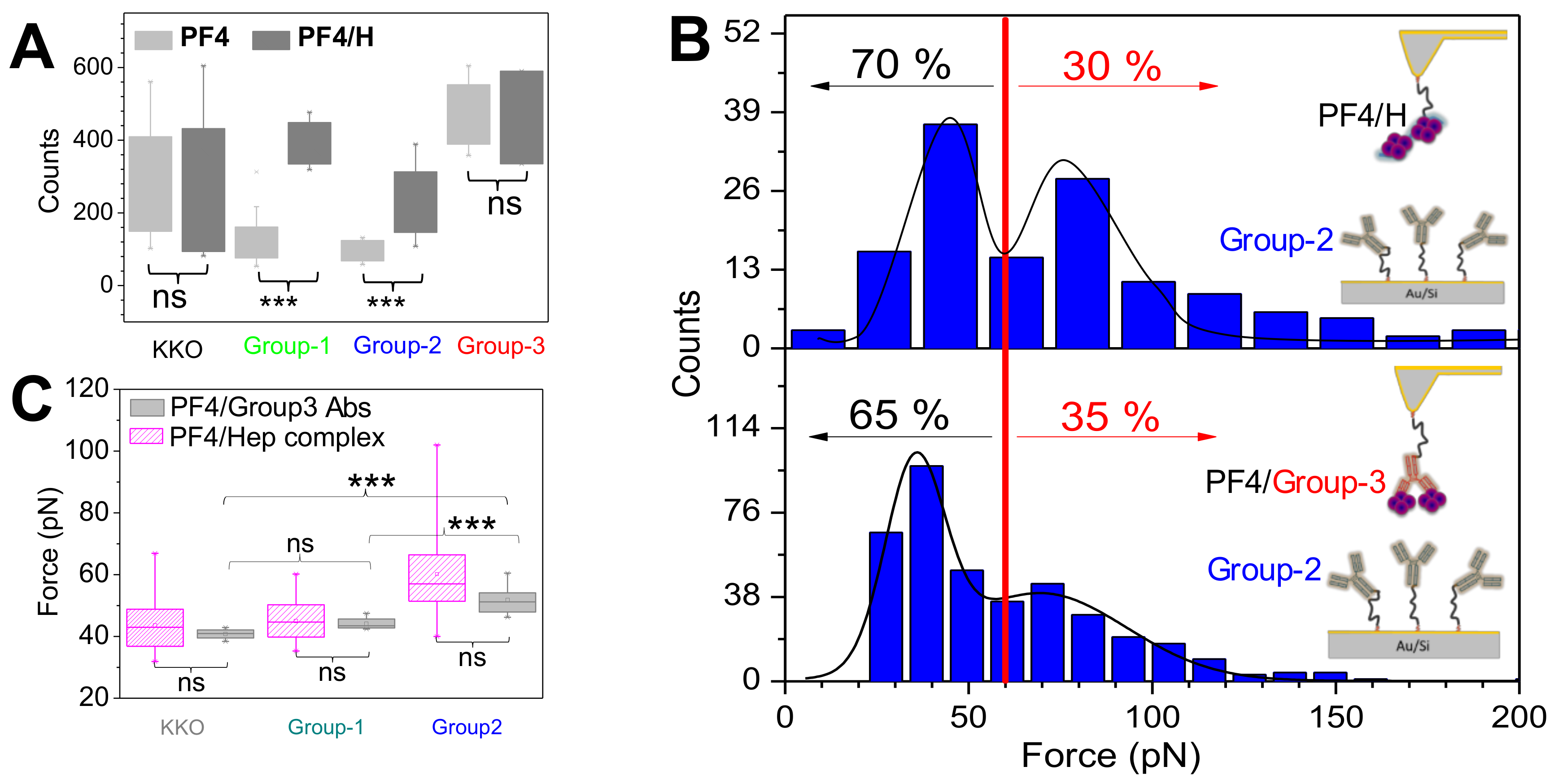 Ijms 19 01054 g004 Ijms 19 01054 g004