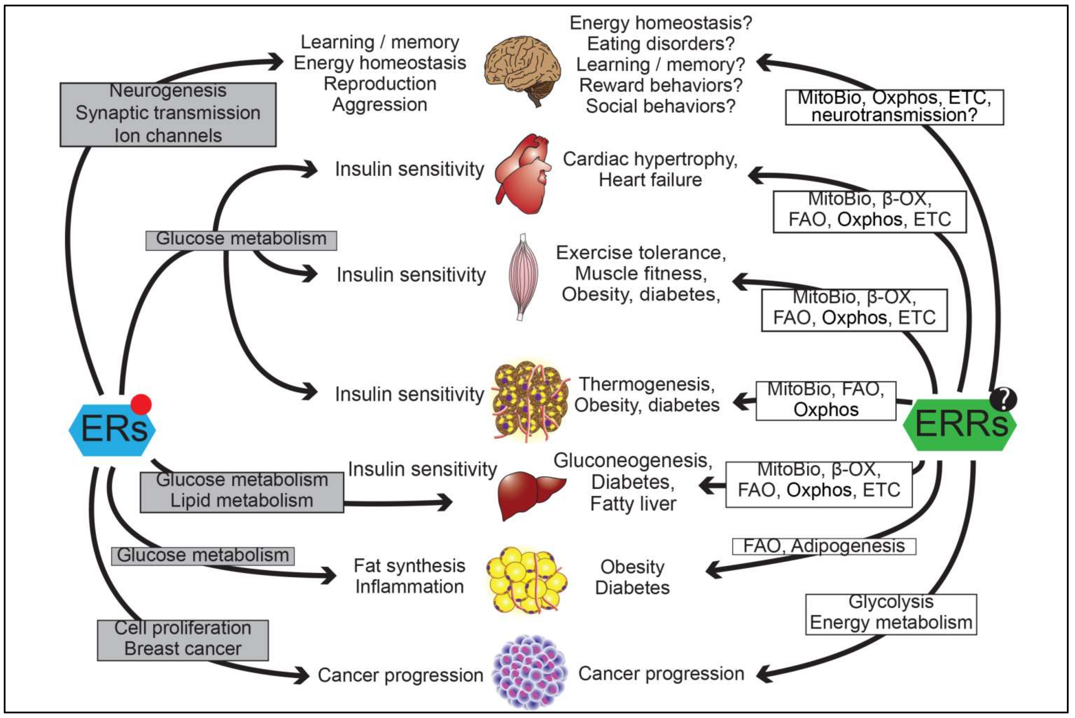 Ijms 19 01091 g003 Ijms 19 01091 g003