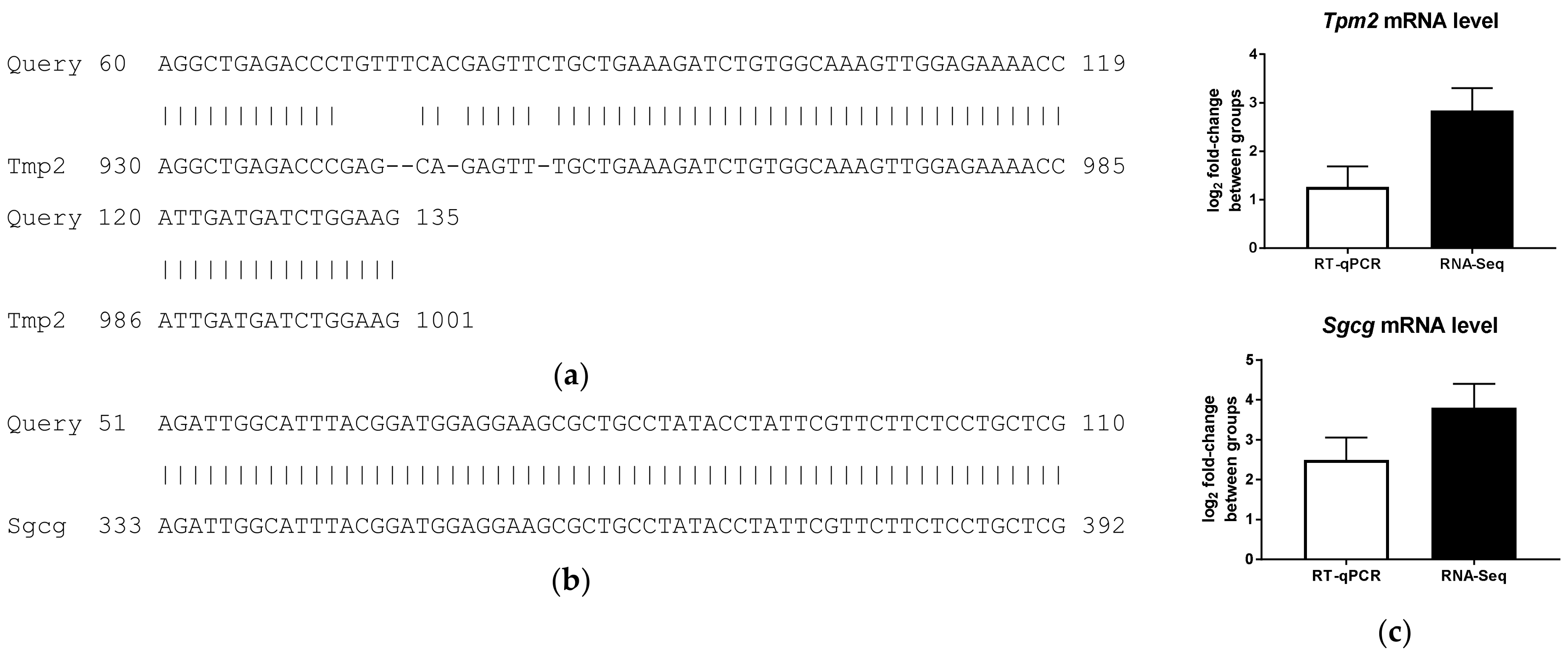 Ijms 19 01095 g005