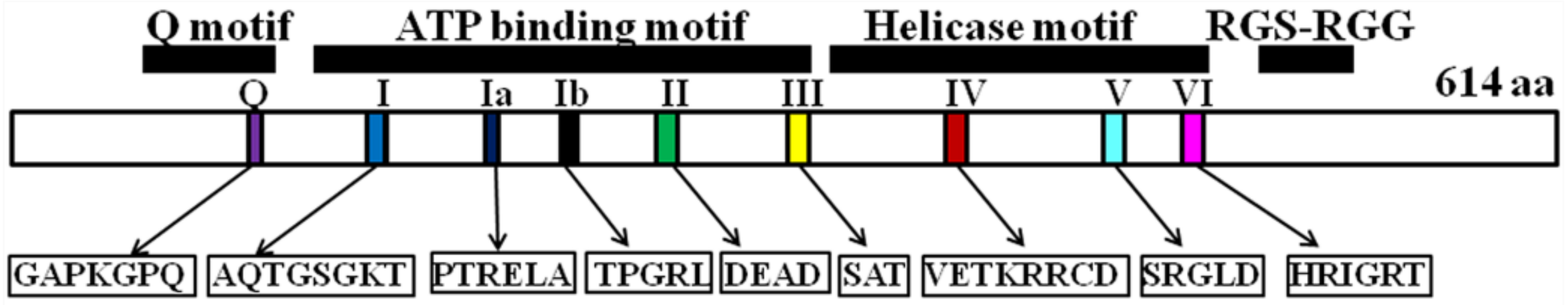Ijms 19 01122 g001