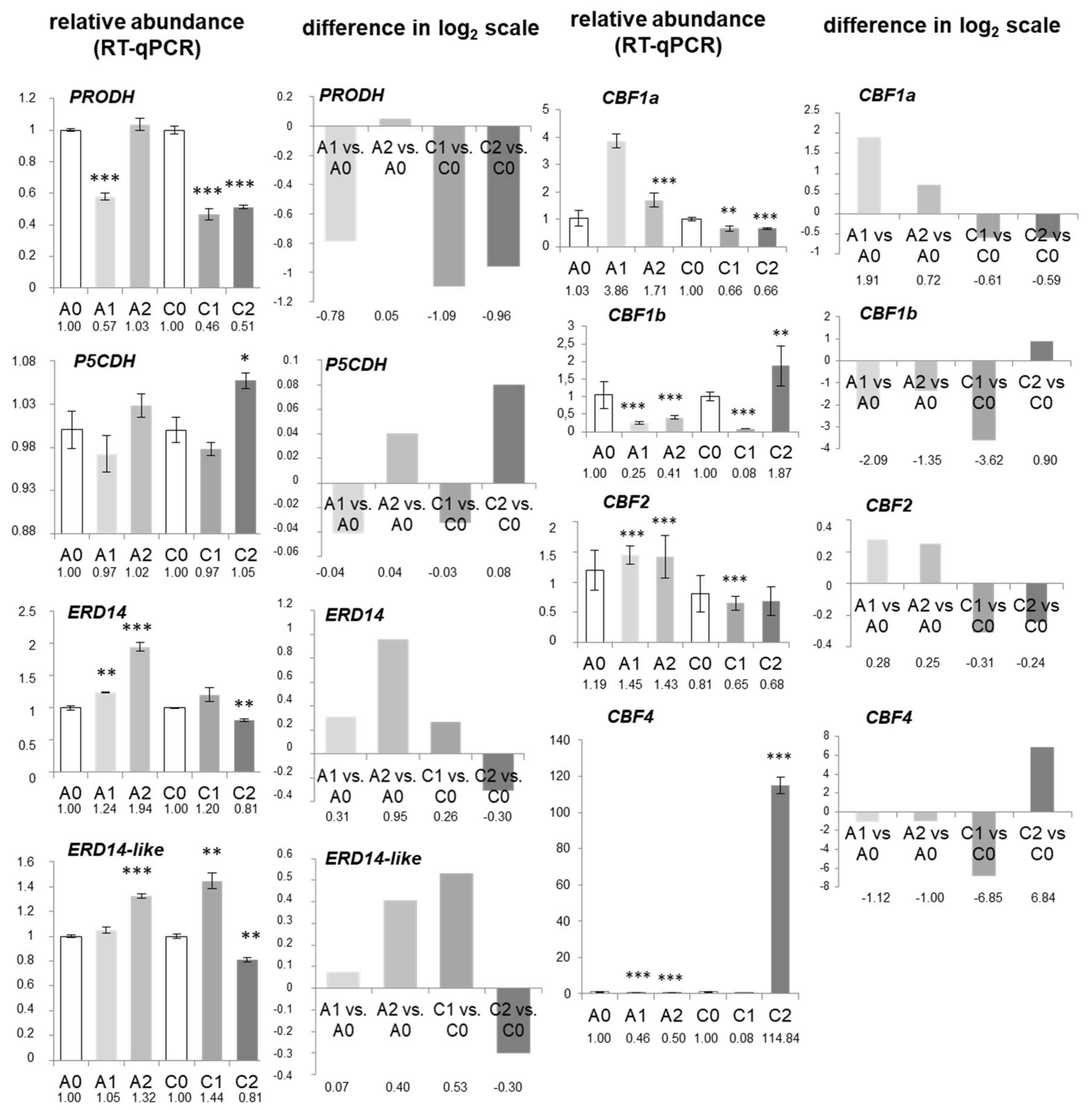 Ijms 19 01130 g007 Ijms 19 01130 g007