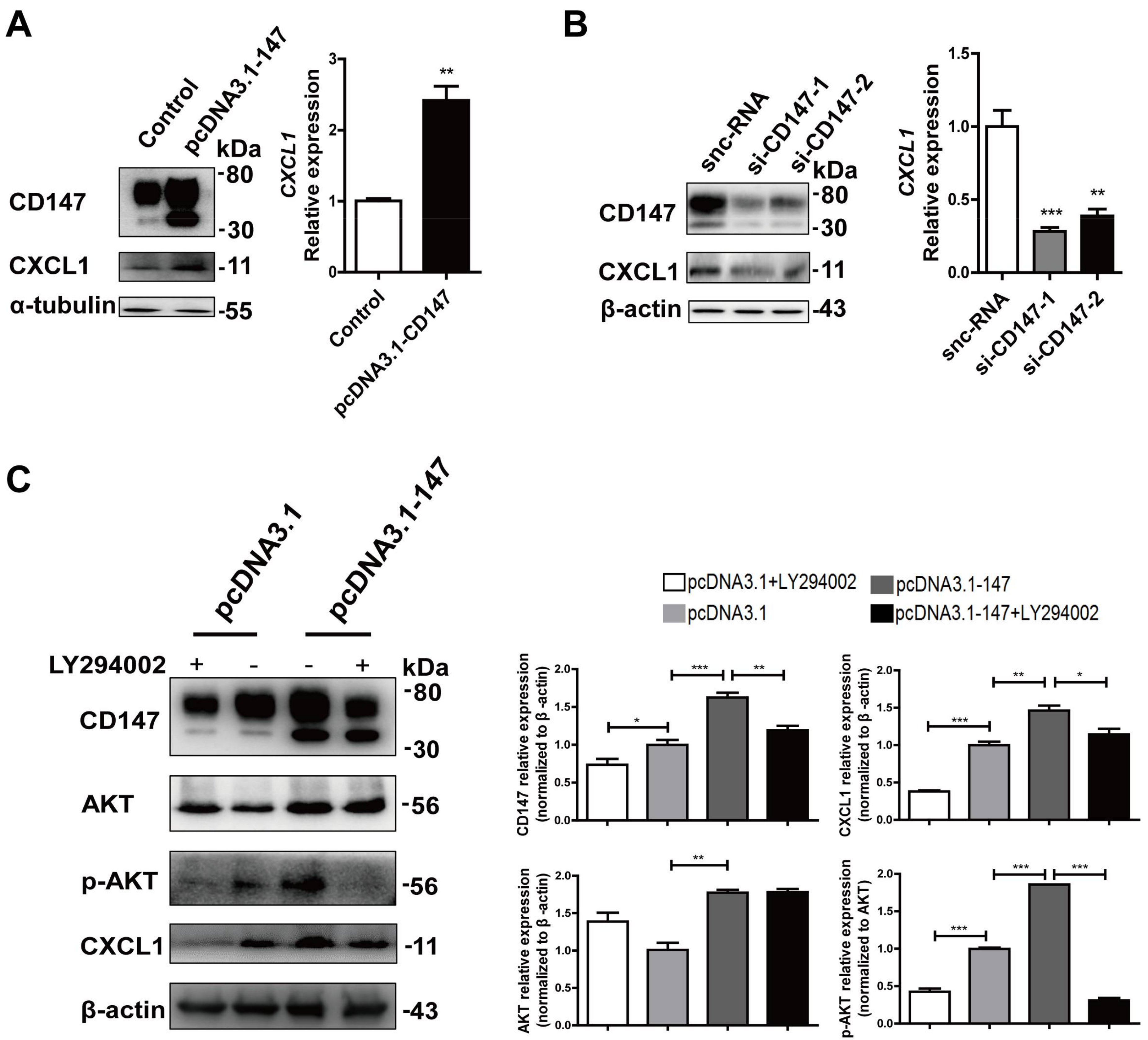 Ijms 19 01145 g006 Ijms 19 01145 g006