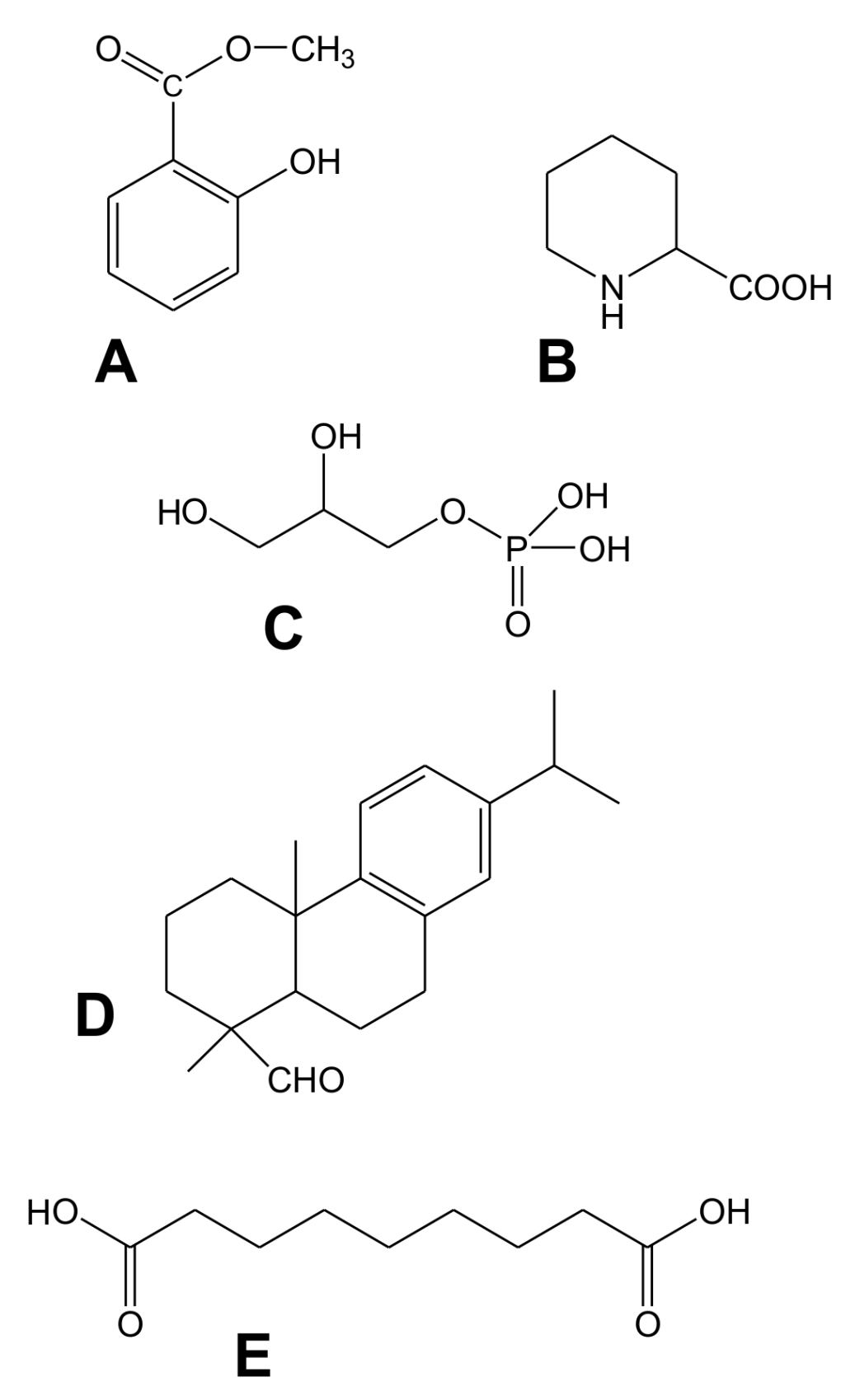 Ijms 19 01146 g002 Ijms 19 01146 g002