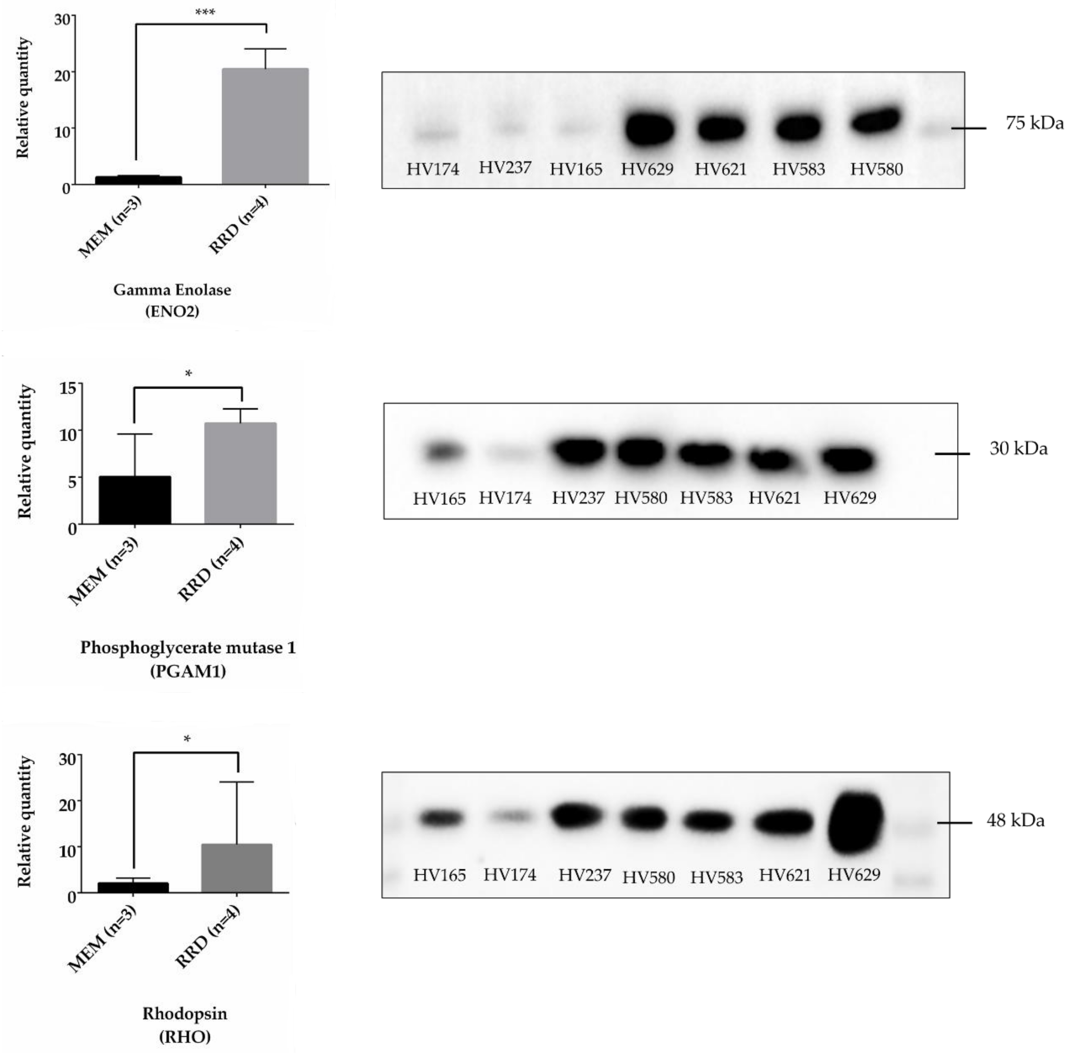 Ijms 19 01157 g003 Ijms 19 01157 g003