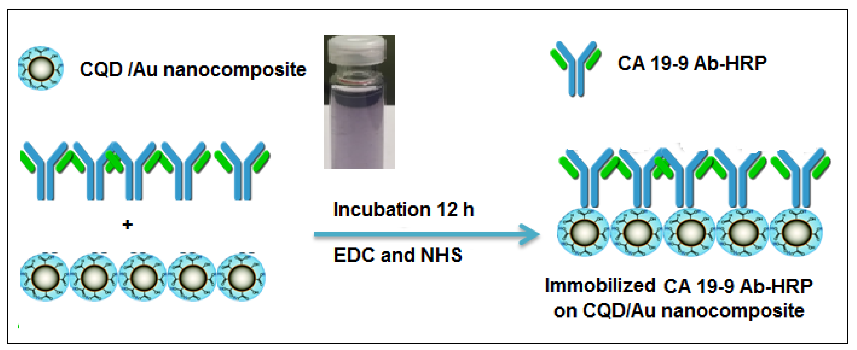 Ijms 19 01162 sch002