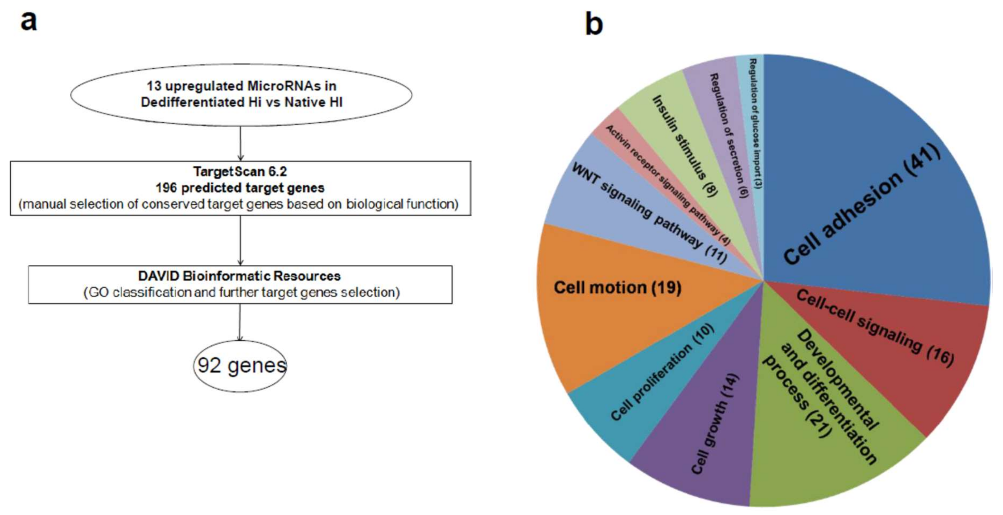 Ijms 19 01170 g003 Ijms 19 01170 g003