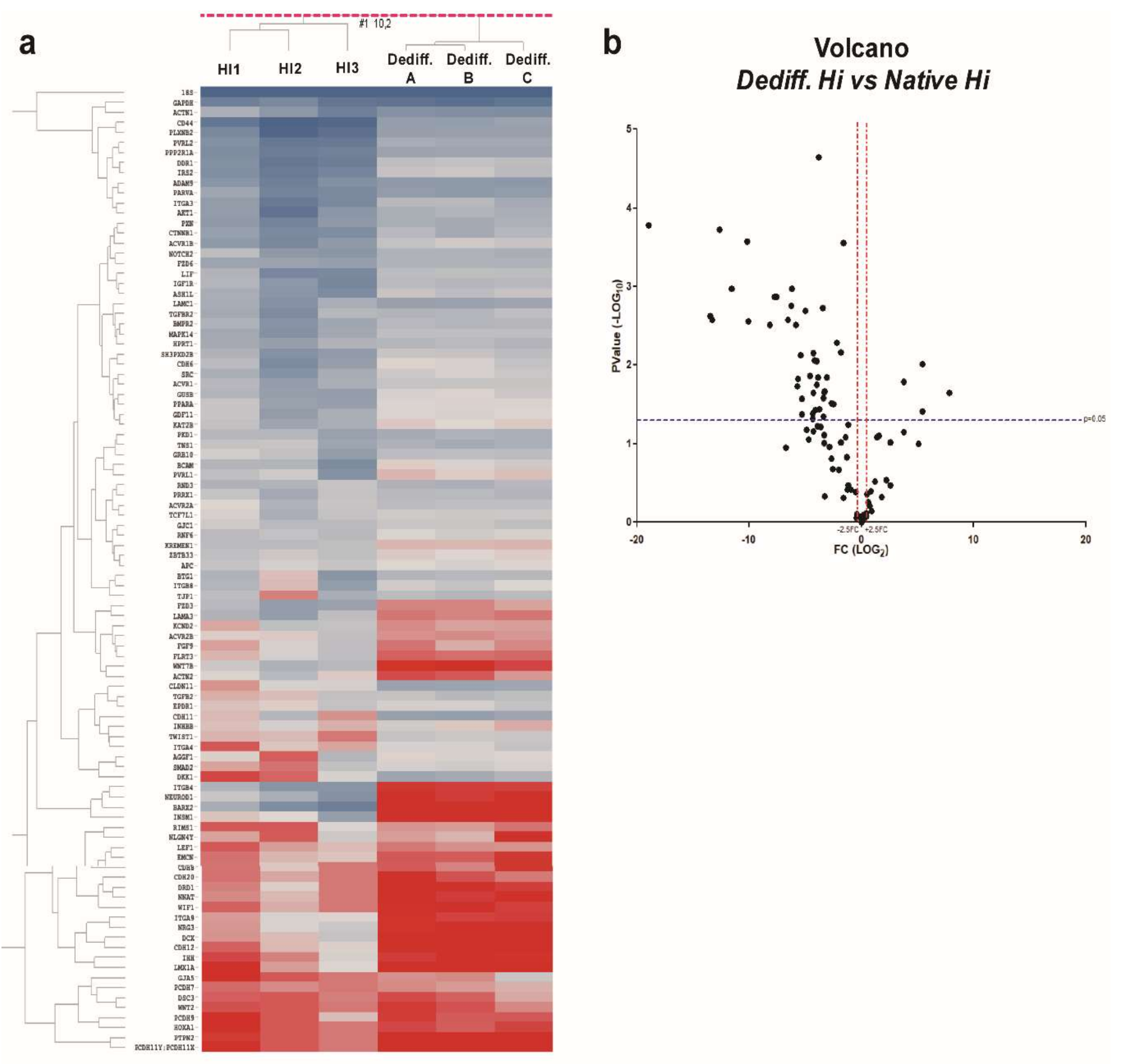 Ijms 19 01170 g004 Ijms 19 01170 g004
