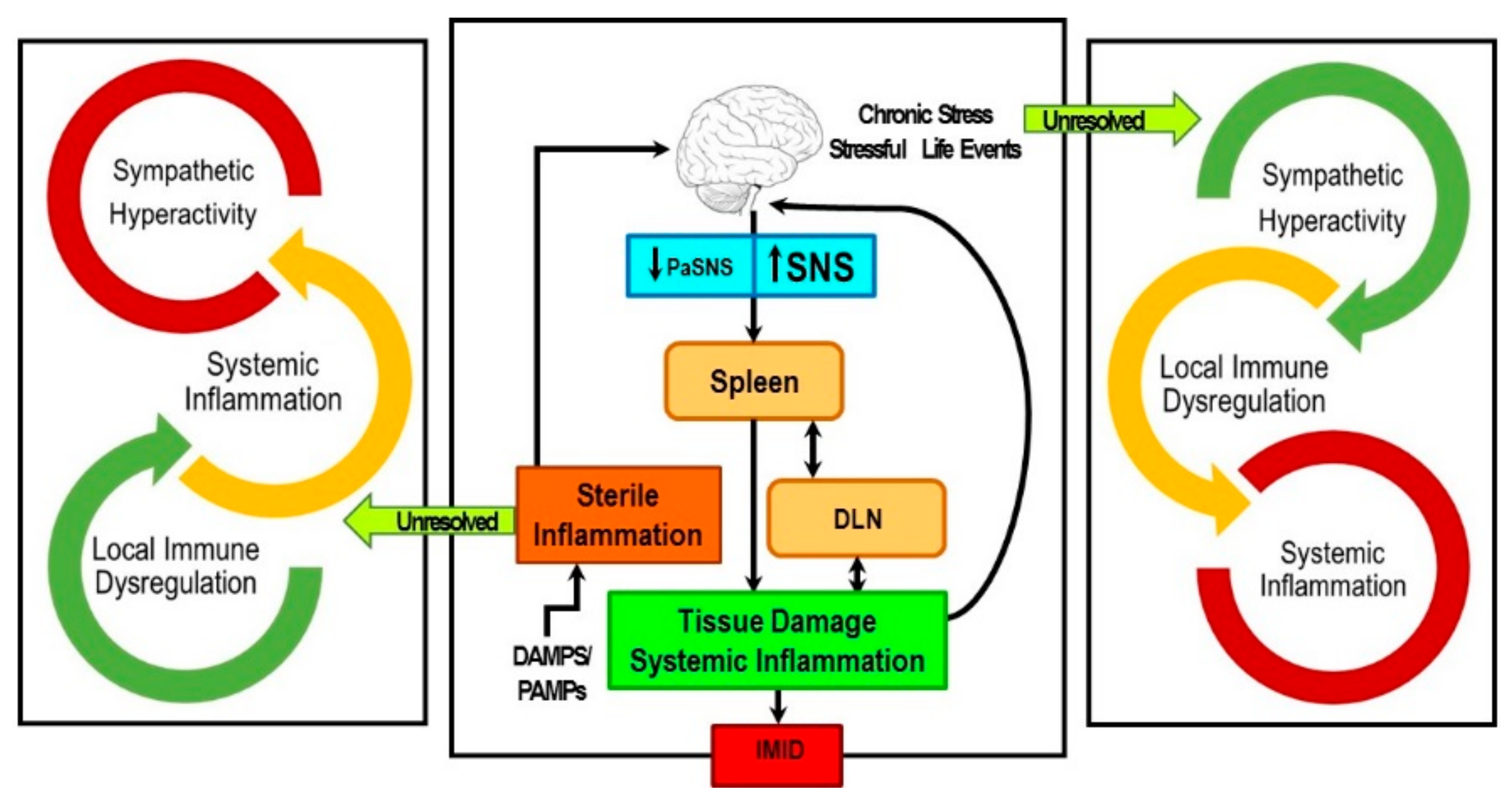 Ijms 19 01188 g002 Ijms 19 01188 g002