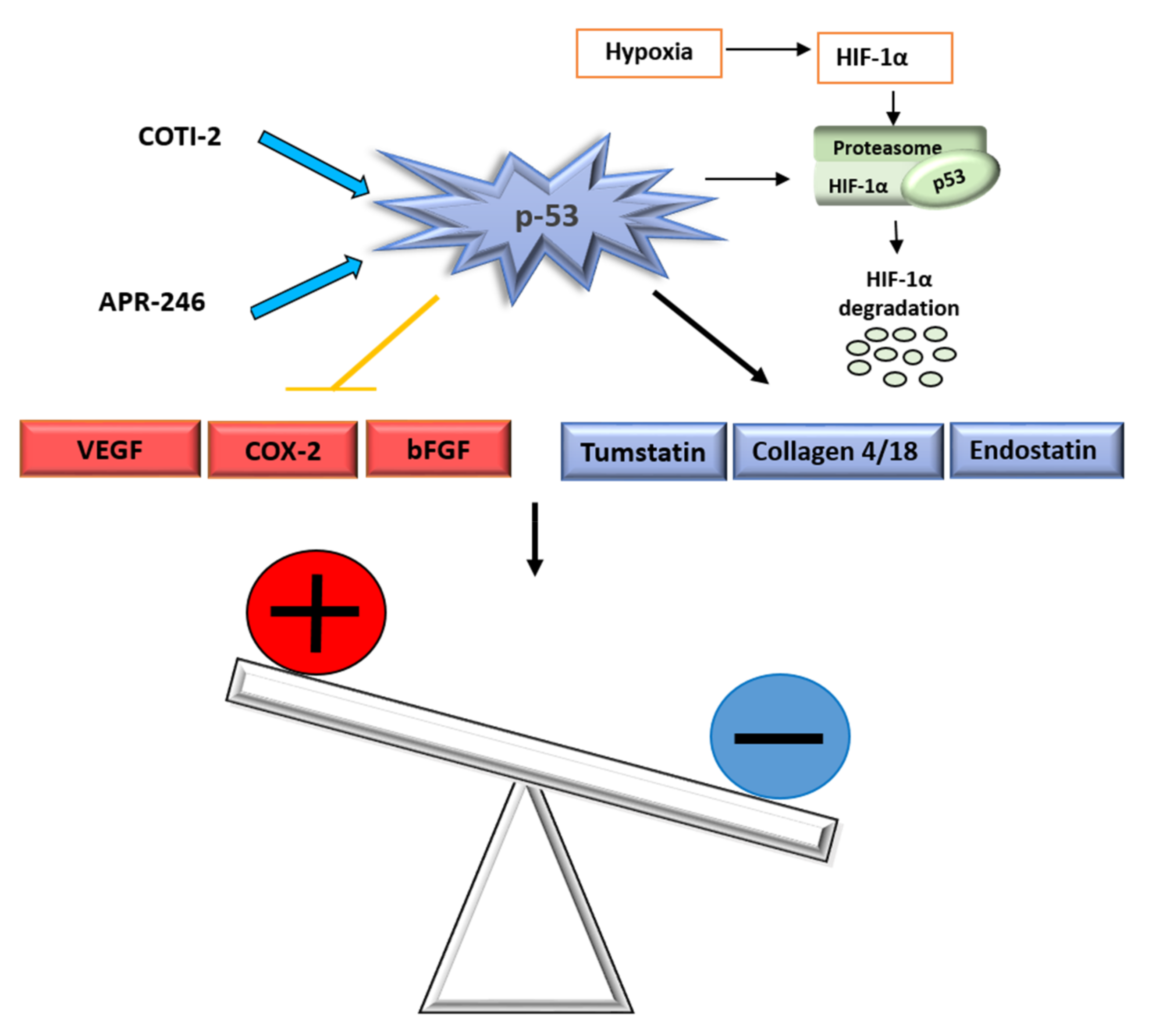 Ijms 19 01192 g003 Ijms 19 01192 g003