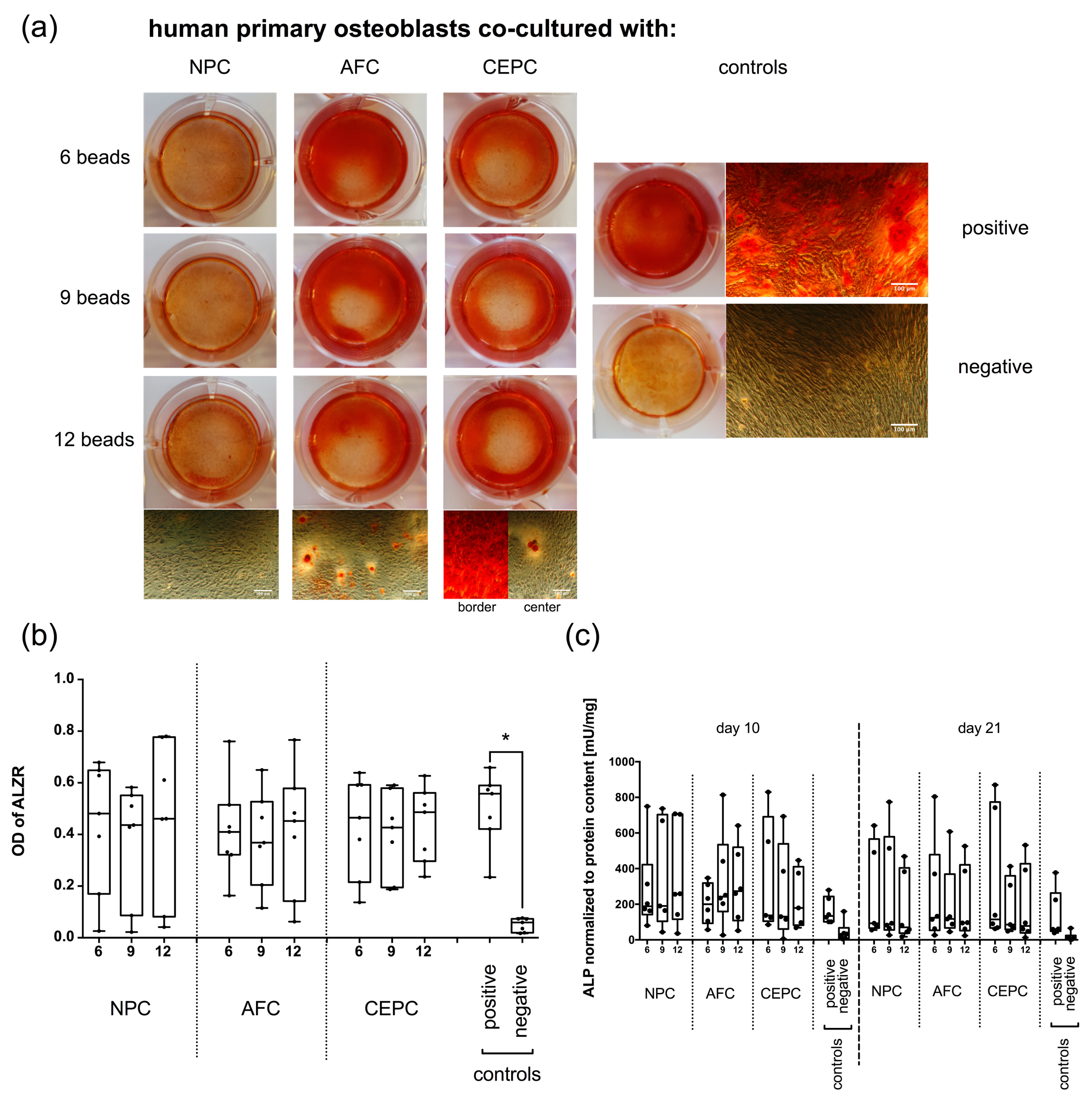 Ijms 19 01195 g001 Ijms 19 01195 g001