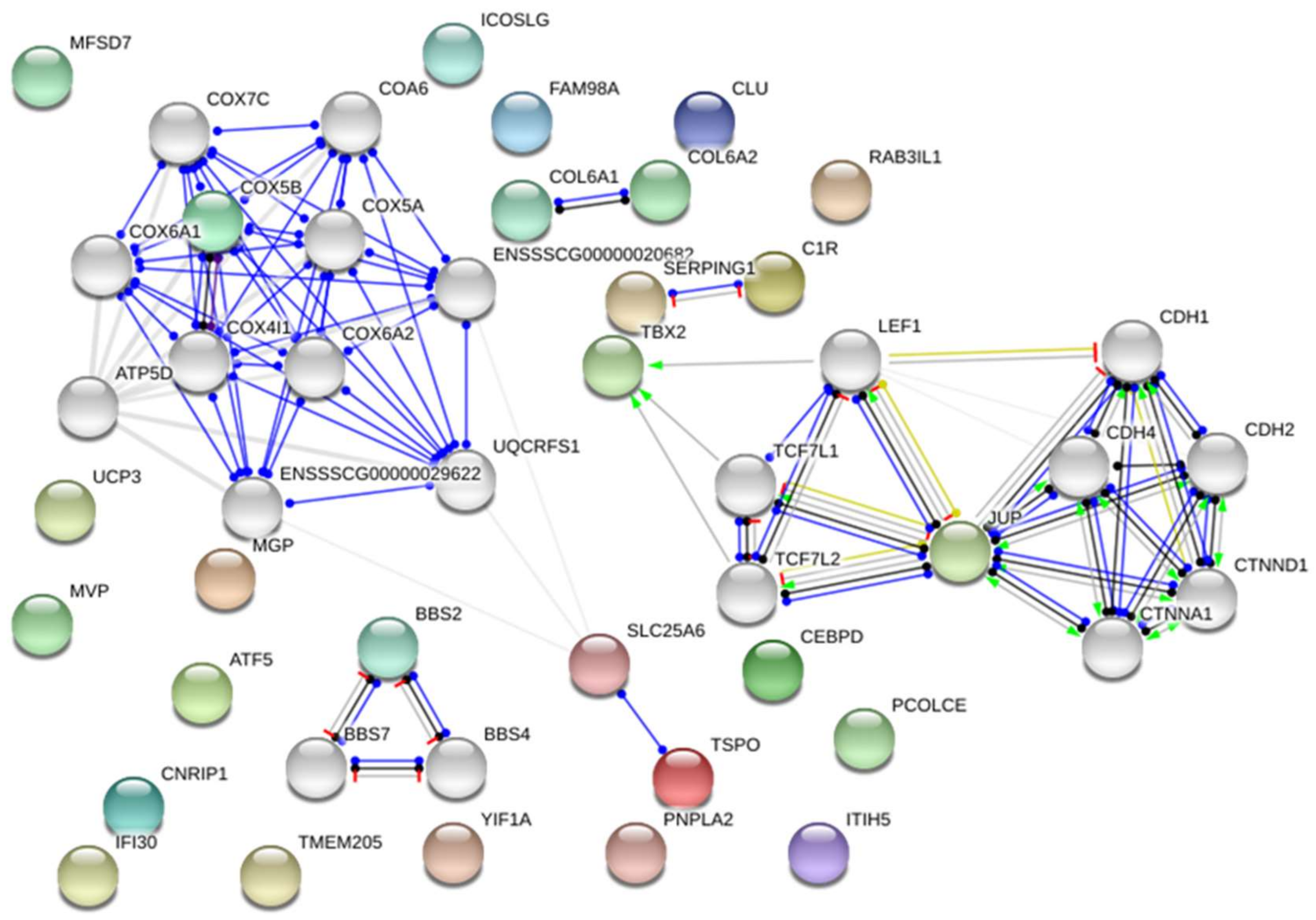 Ijms 19 01208 g001 Ijms 19 01208 g001
