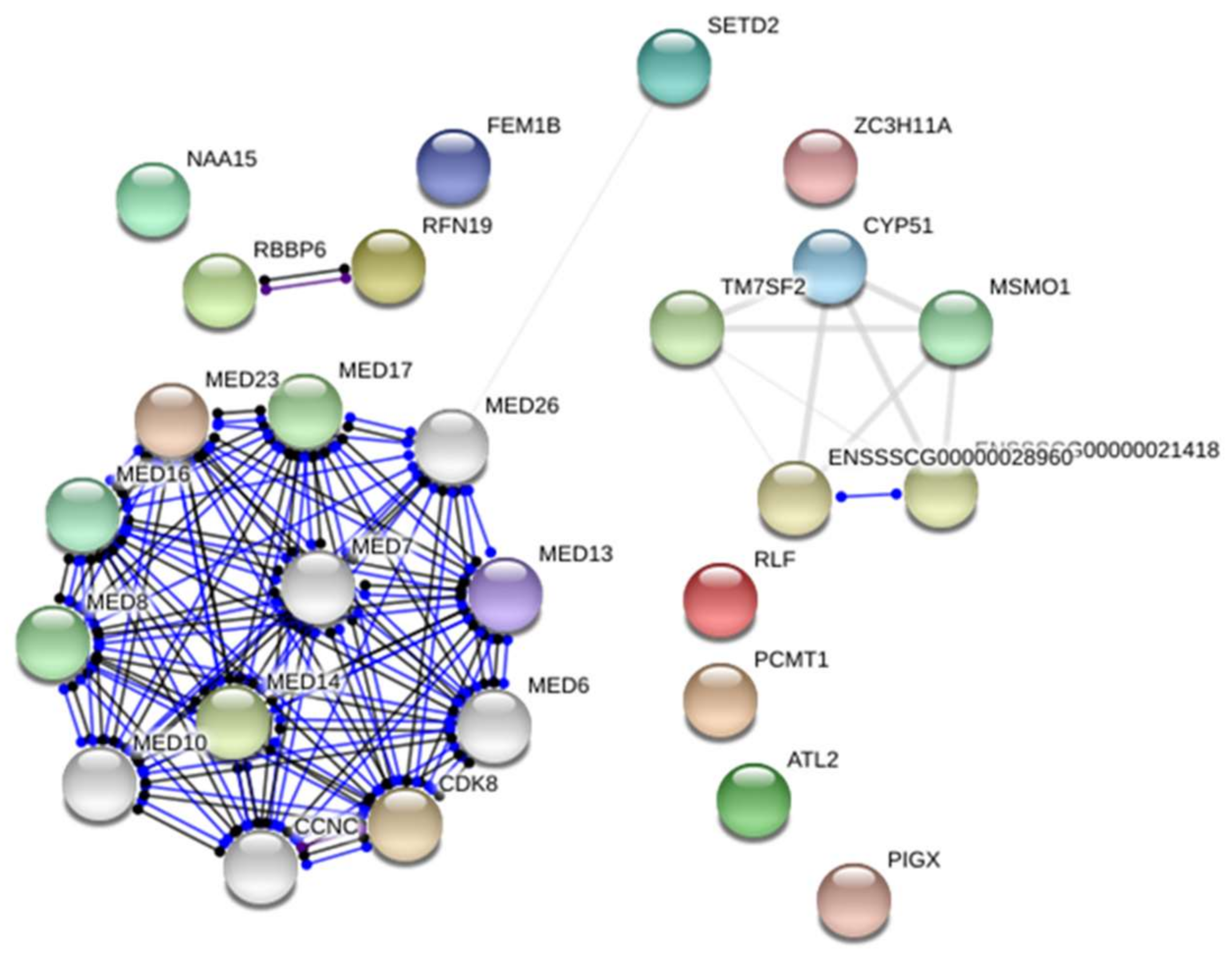 Ijms 19 01208 g002 Ijms 19 01208 g002