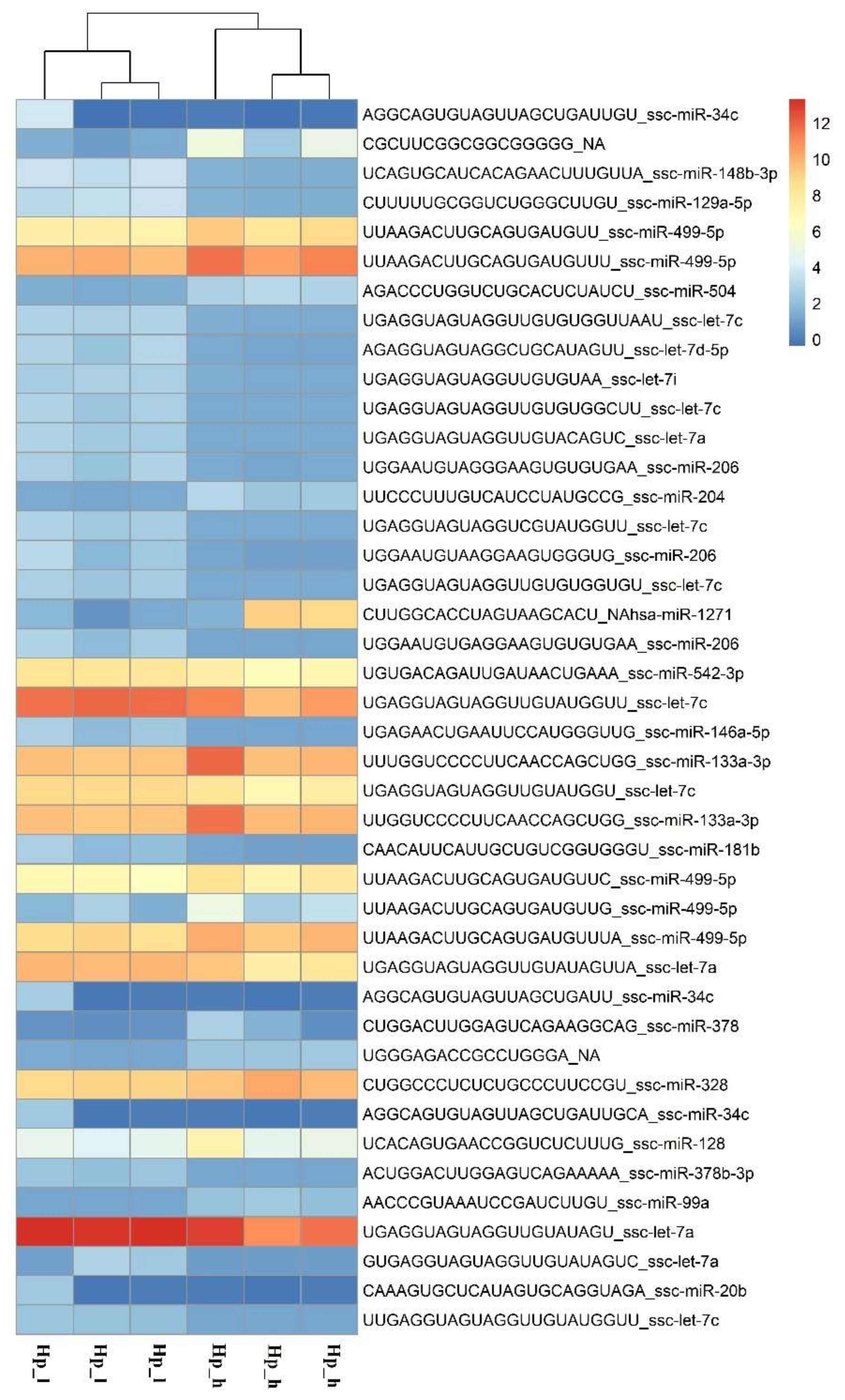 Ijms 19 01208 g004 Ijms 19 01208 g004