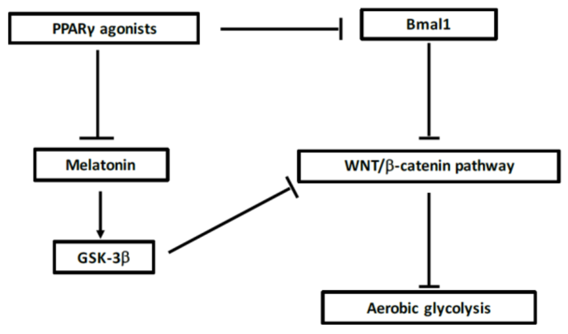 Ijms 19 01212 g004 Ijms 19 01212 g004