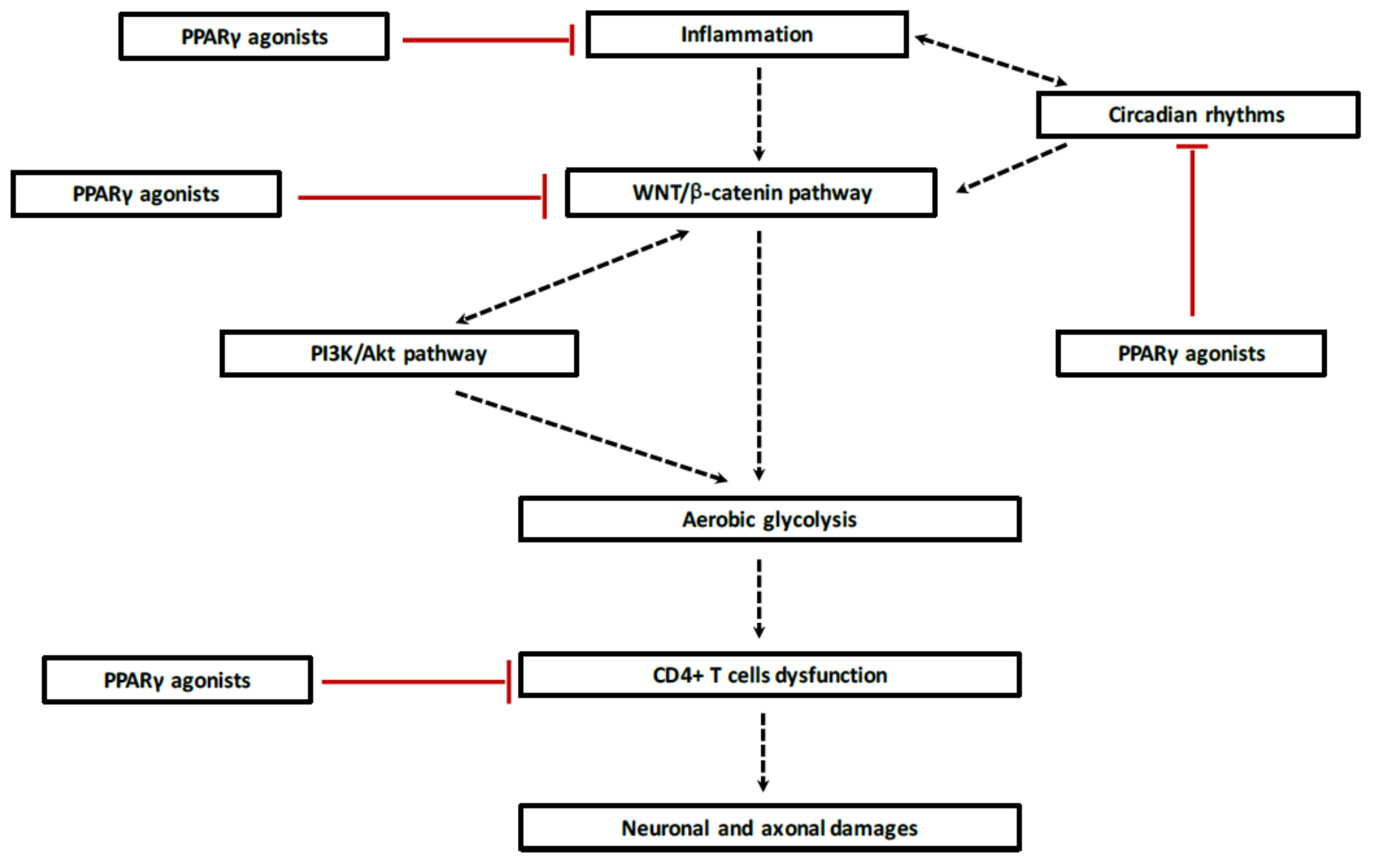 Ijms 19 01212 g005 Ijms 19 01212 g005