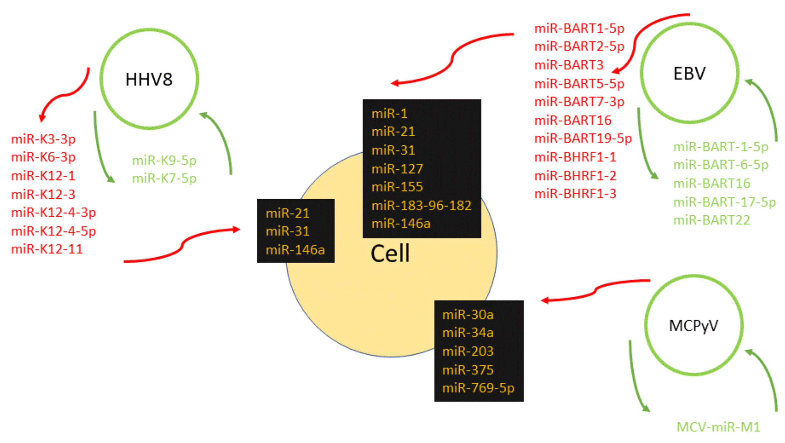 Ijms 19 01217 g001 Ijms 19 01217 g001