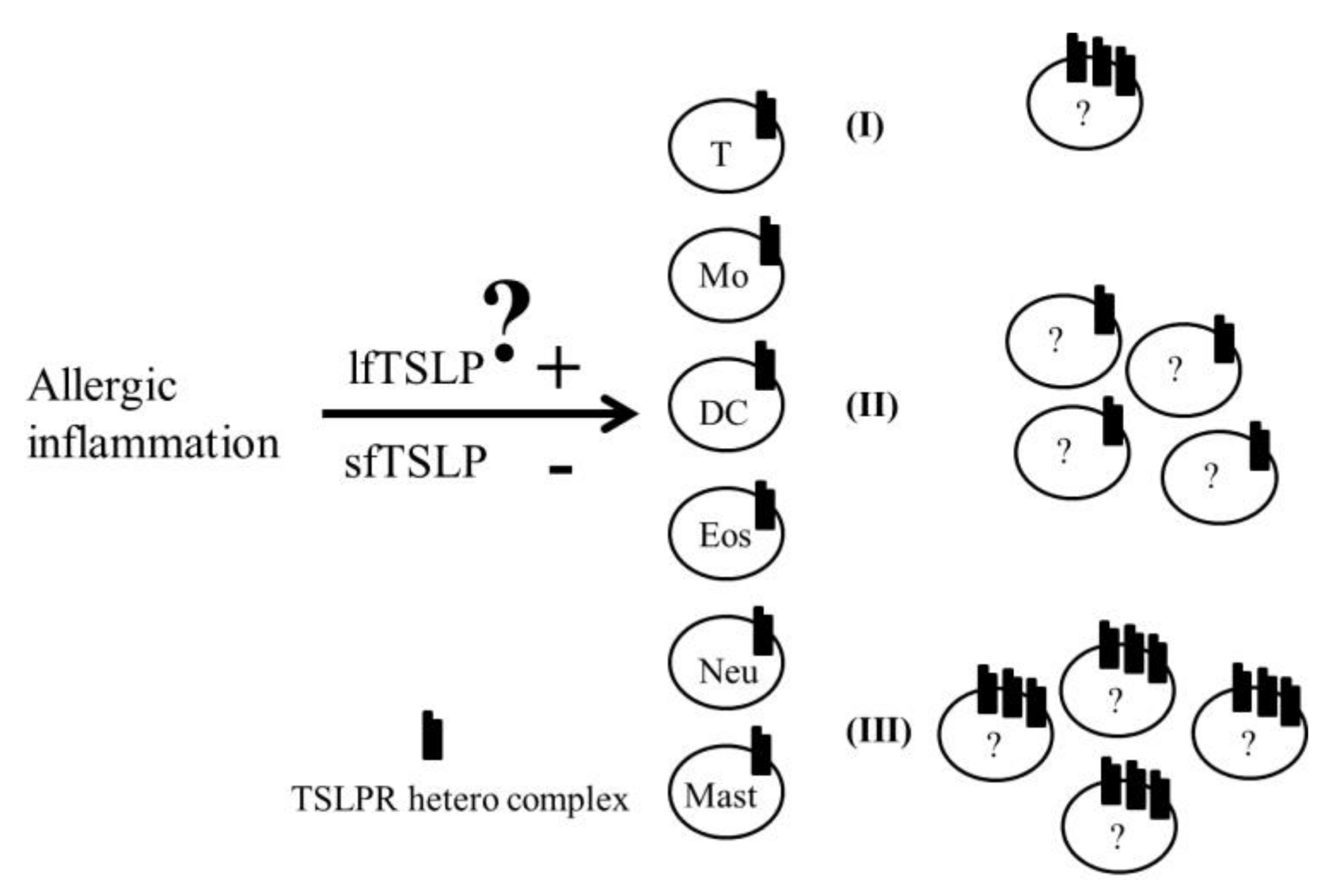 Ijms 19 01231 g002 Ijms 19 01231 g002