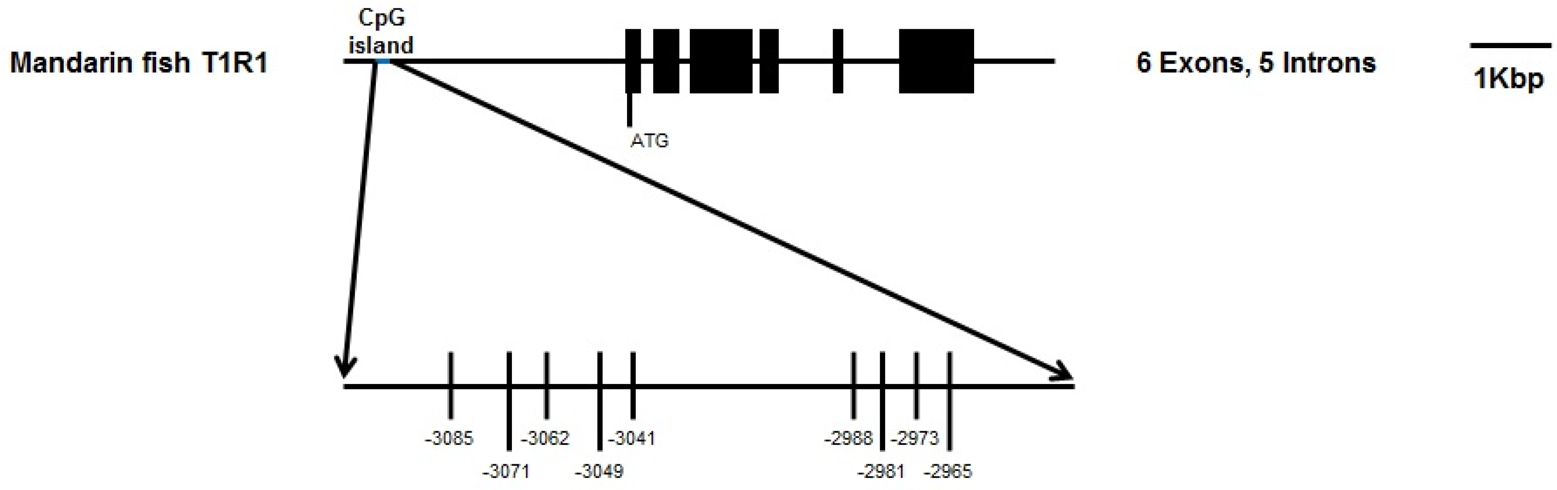 Ijms 19 01254 g005 Ijms 19 01254 g005