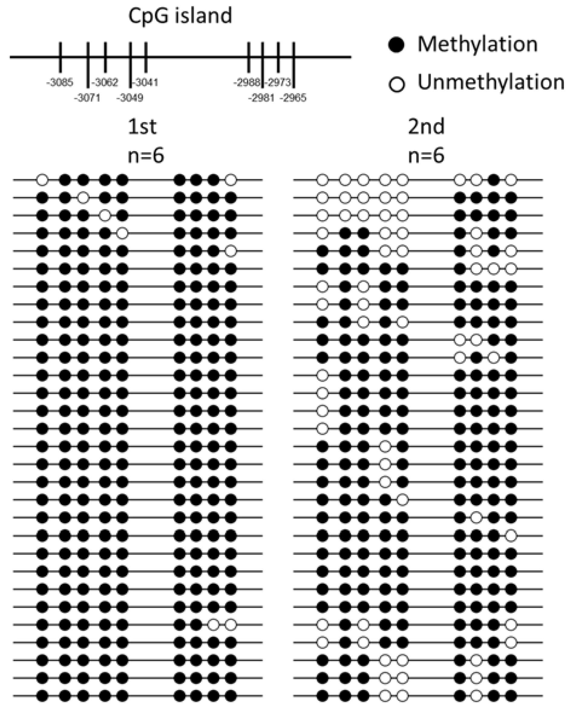 Ijms 19 01254 g006 Ijms 19 01254 g006