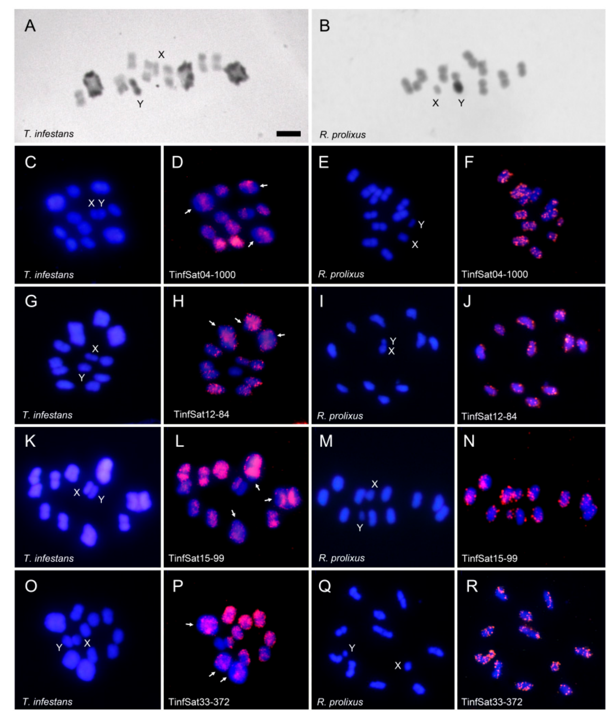 Ijms 19 01277 g003 Ijms 19 01277 g003