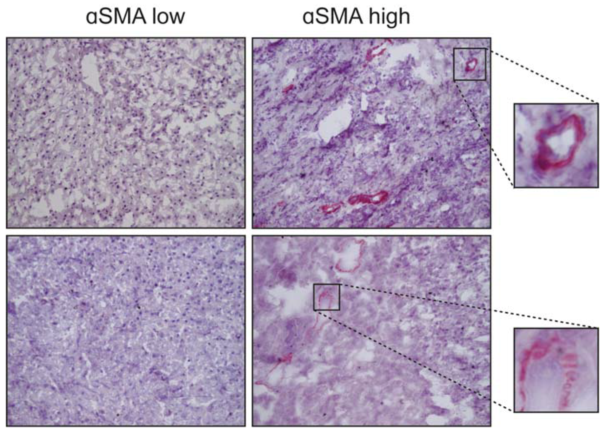 Ijms 19 01294 g002