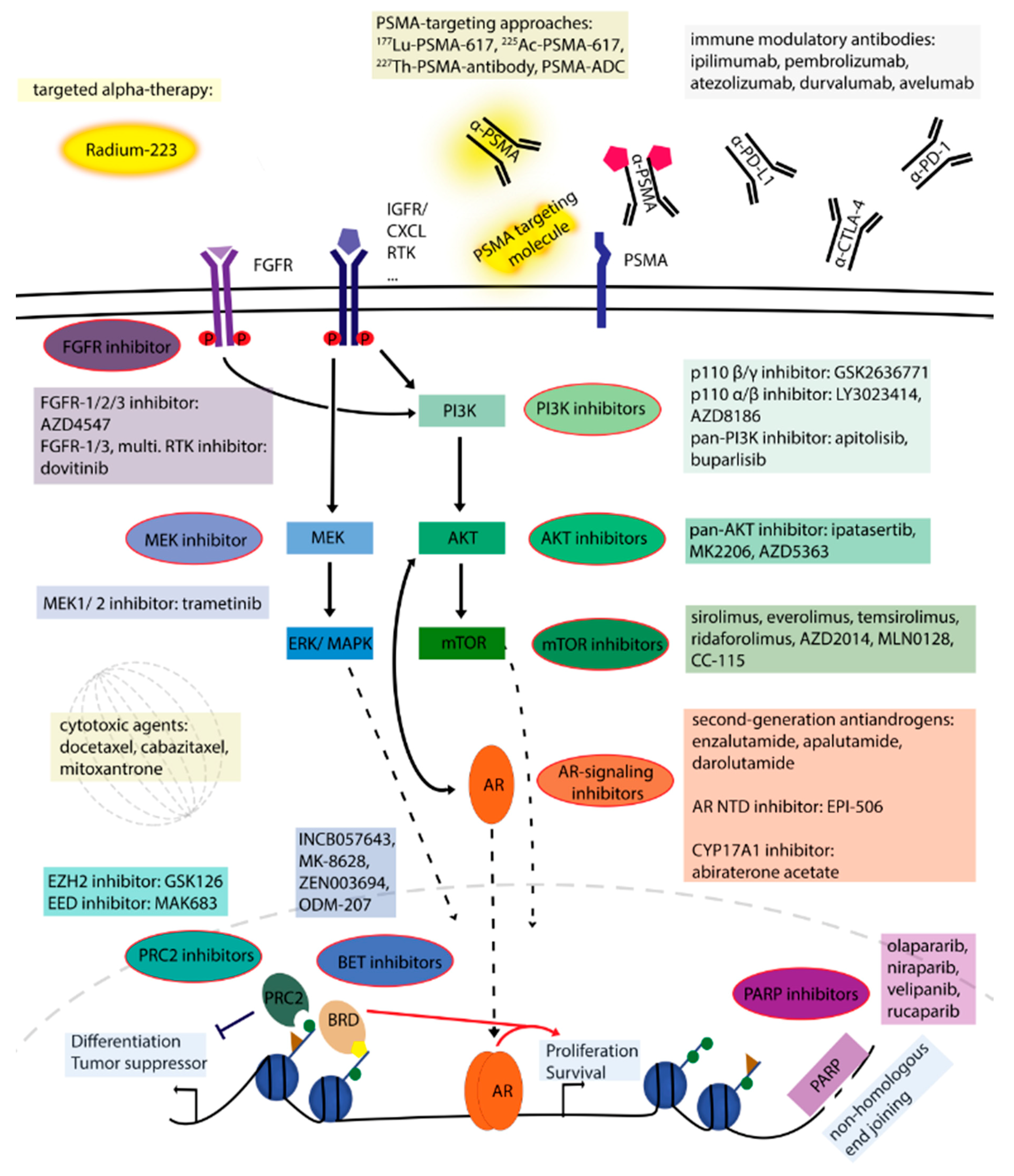 Ijms 19 01359 g001 Ijms 19 01359 g001