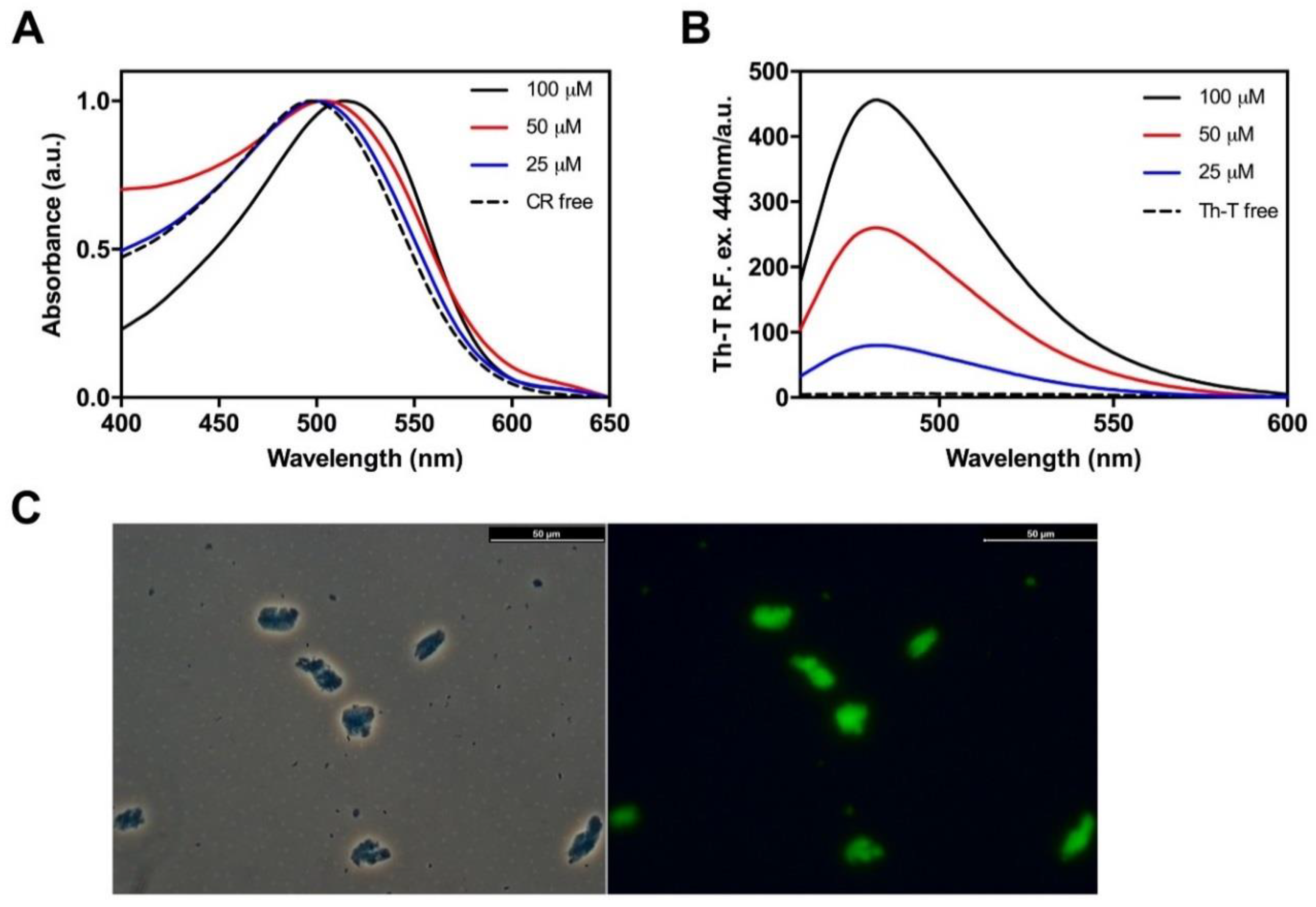 Ijms 19 01384 g004 Ijms 19 01384 g004