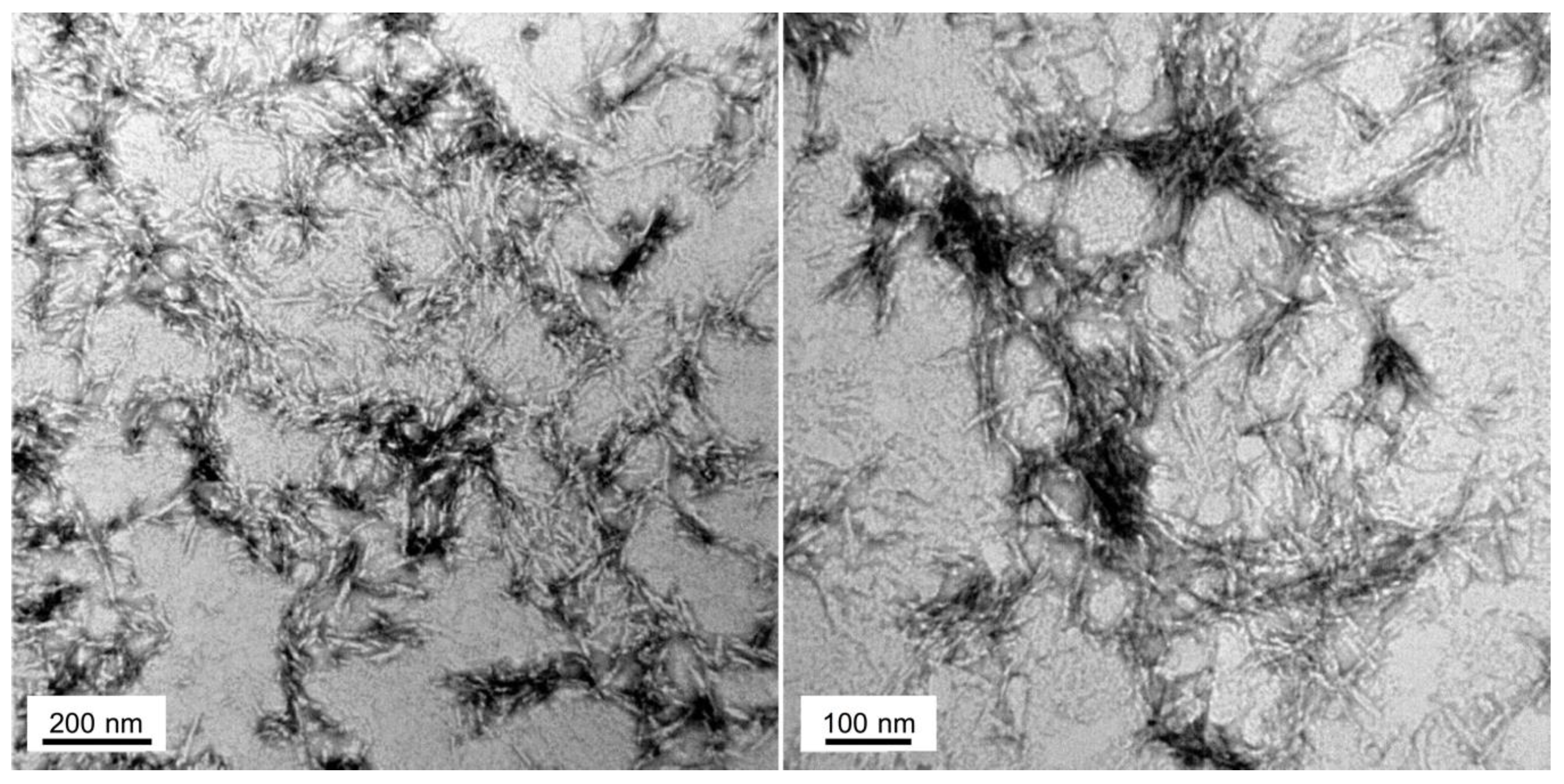 Ijms 19 01384 g005 Ijms 19 01384 g005