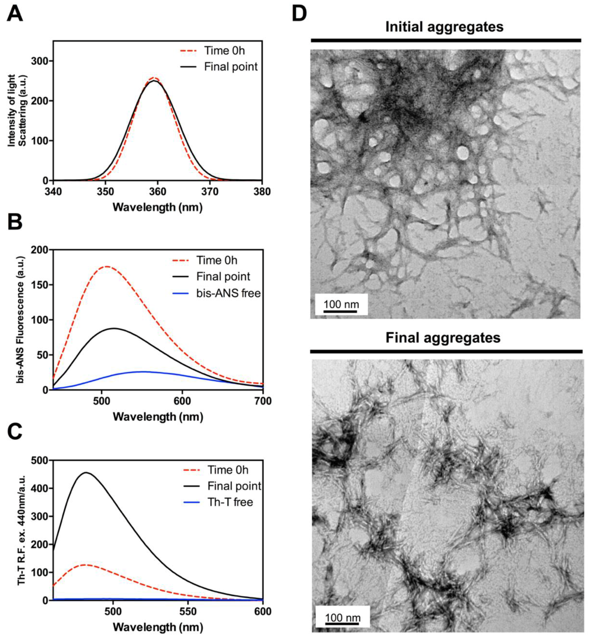 Ijms 19 01384 g006 Ijms 19 01384 g006