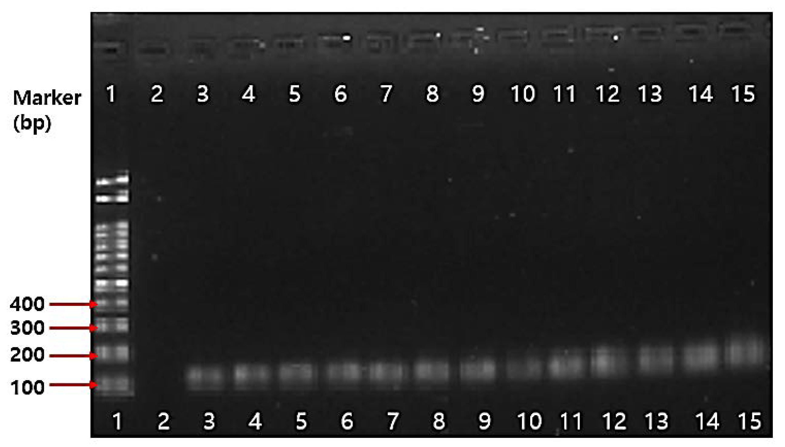 Ijms 19 01422 g002 Ijms 19 01422 g002