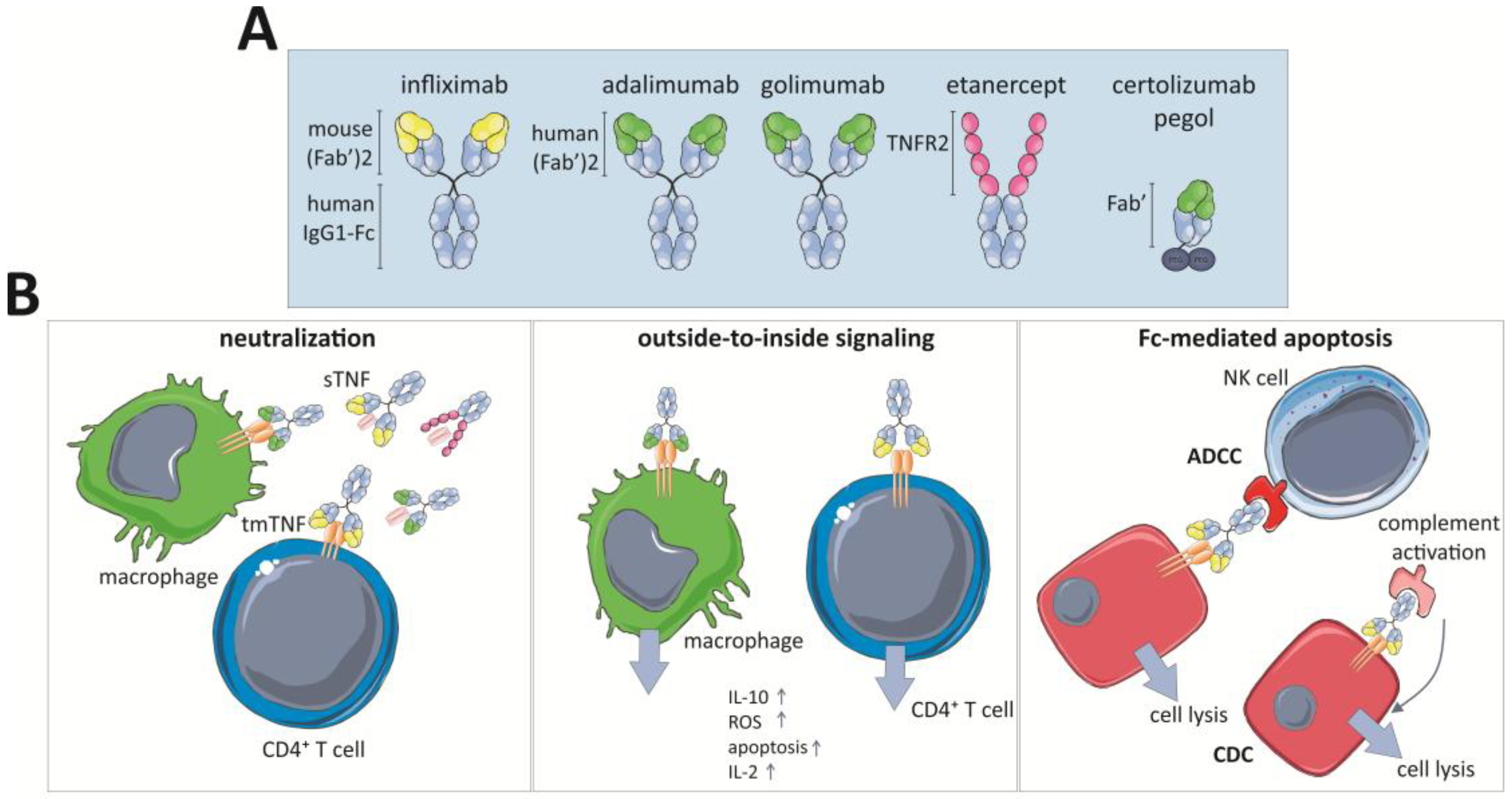 Ijms 19 01442 g003 Ijms 19 01442 g003