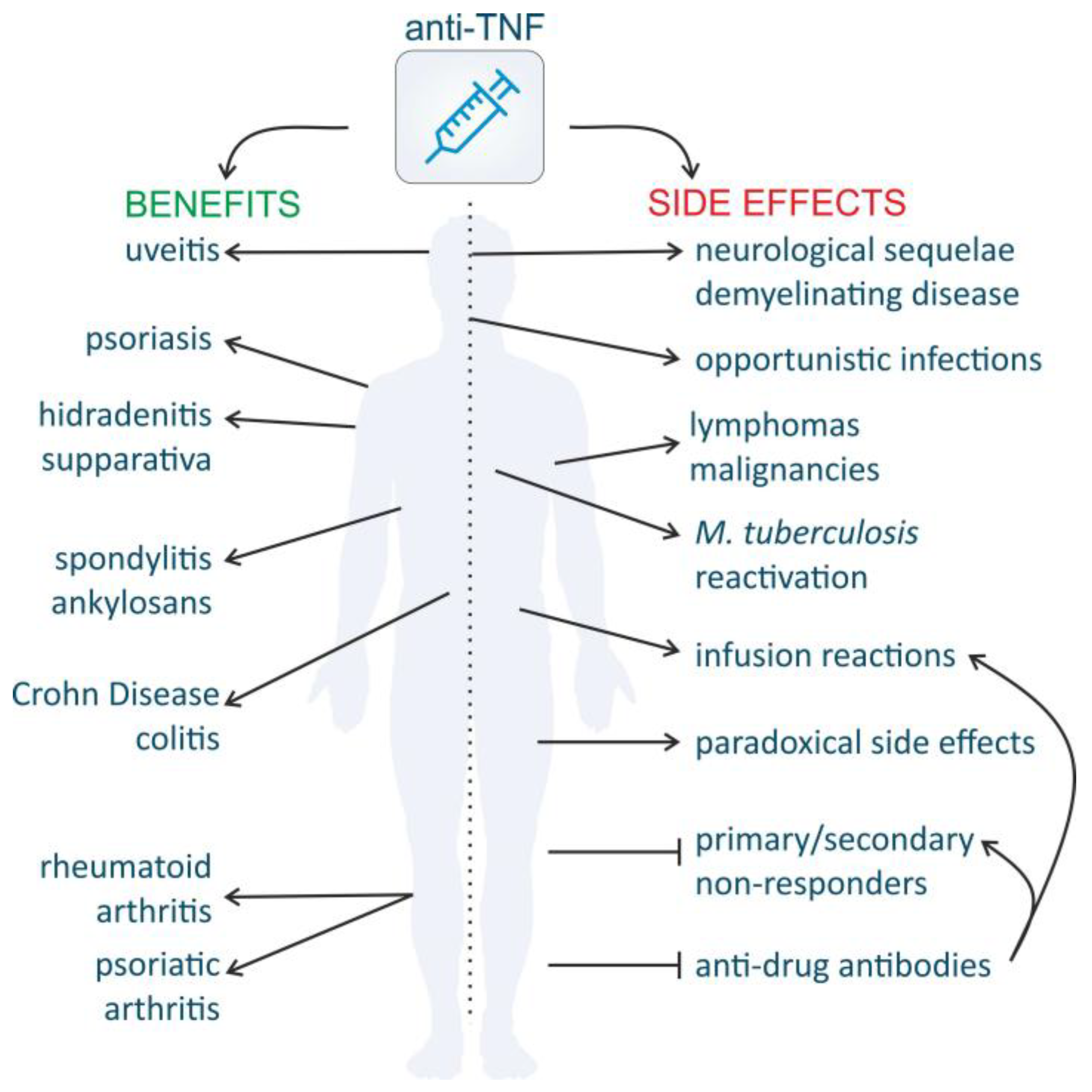 Ijms 19 01442 g004 Ijms 19 01442 g004