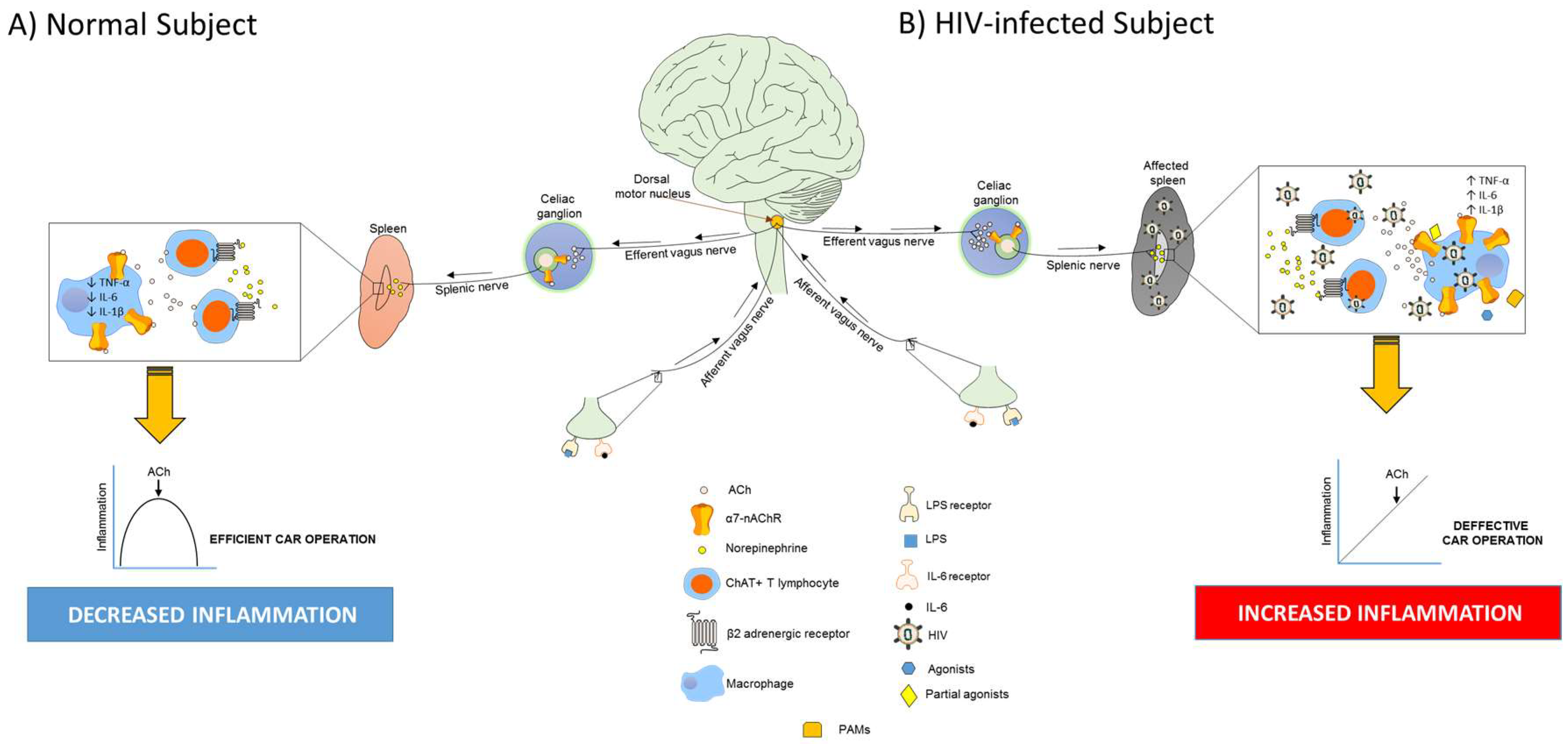 Ijms 19 01473 g001 Ijms 19 01473 g001