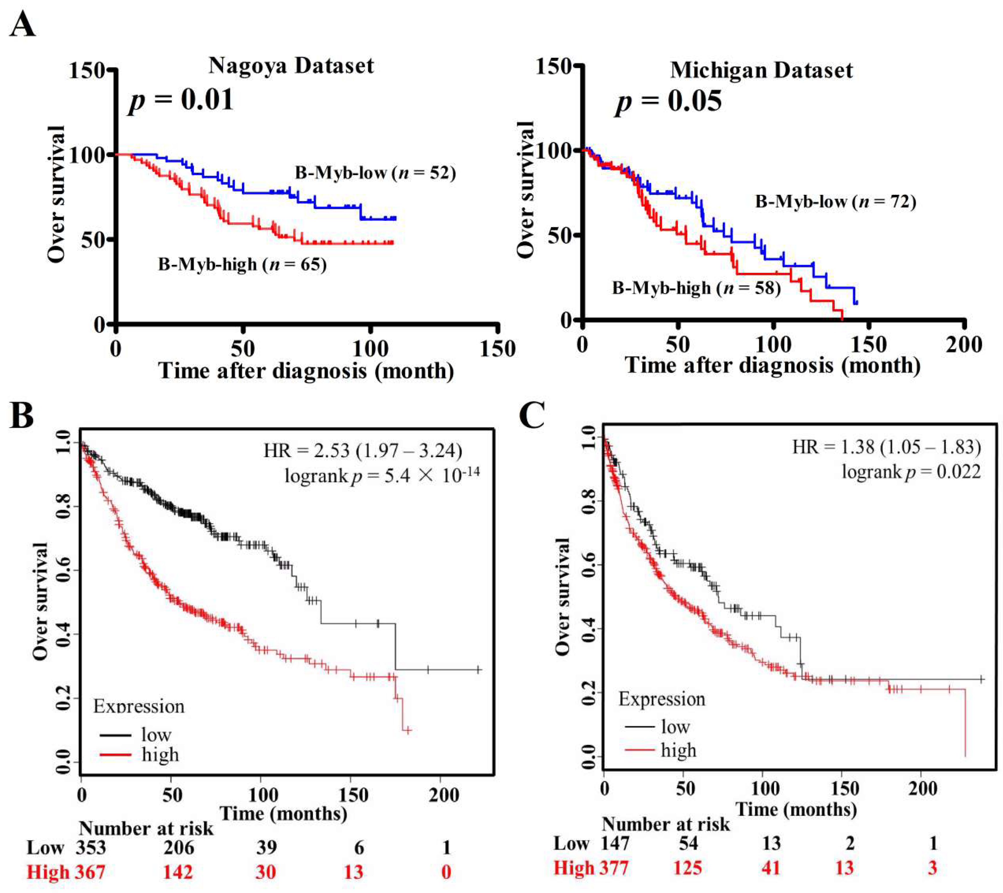 Ijms 19 01479 g001 Ijms 19 01479 g001