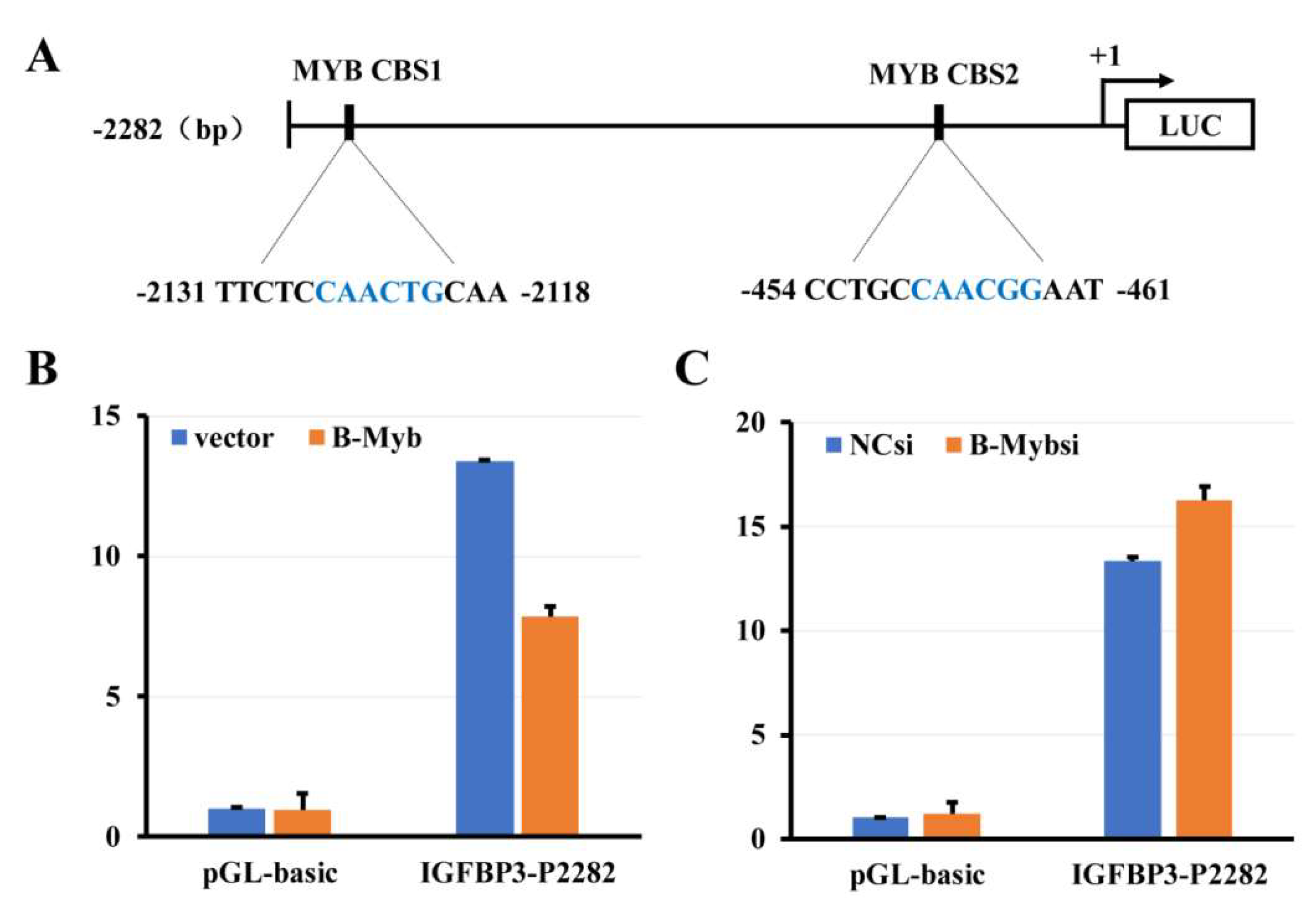 Ijms 19 01479 g009 Ijms 19 01479 g009