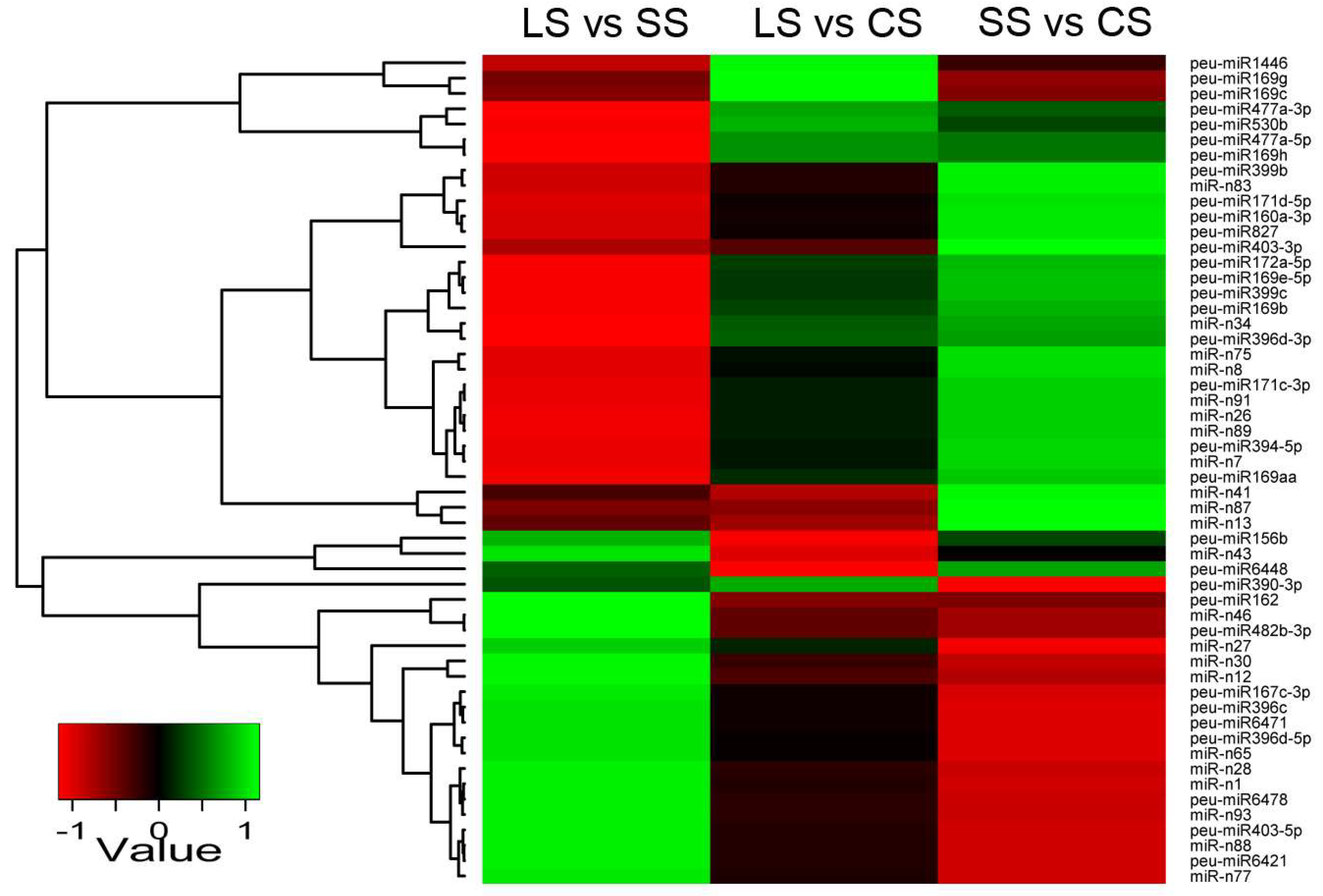 Ijms 19 01481 g005 Ijms 19 01481 g005
