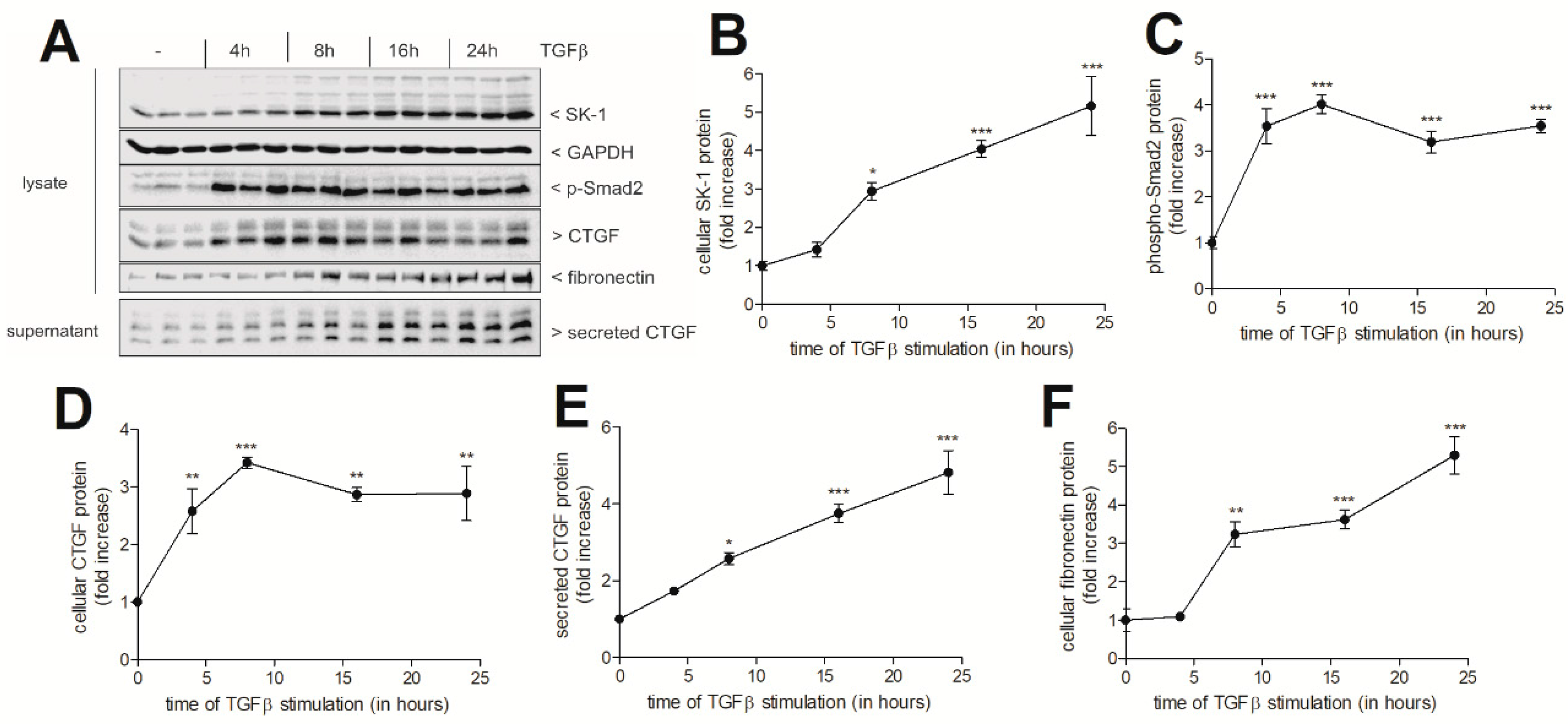 Ijms 19 01498 g001 Ijms 19 01498 g001