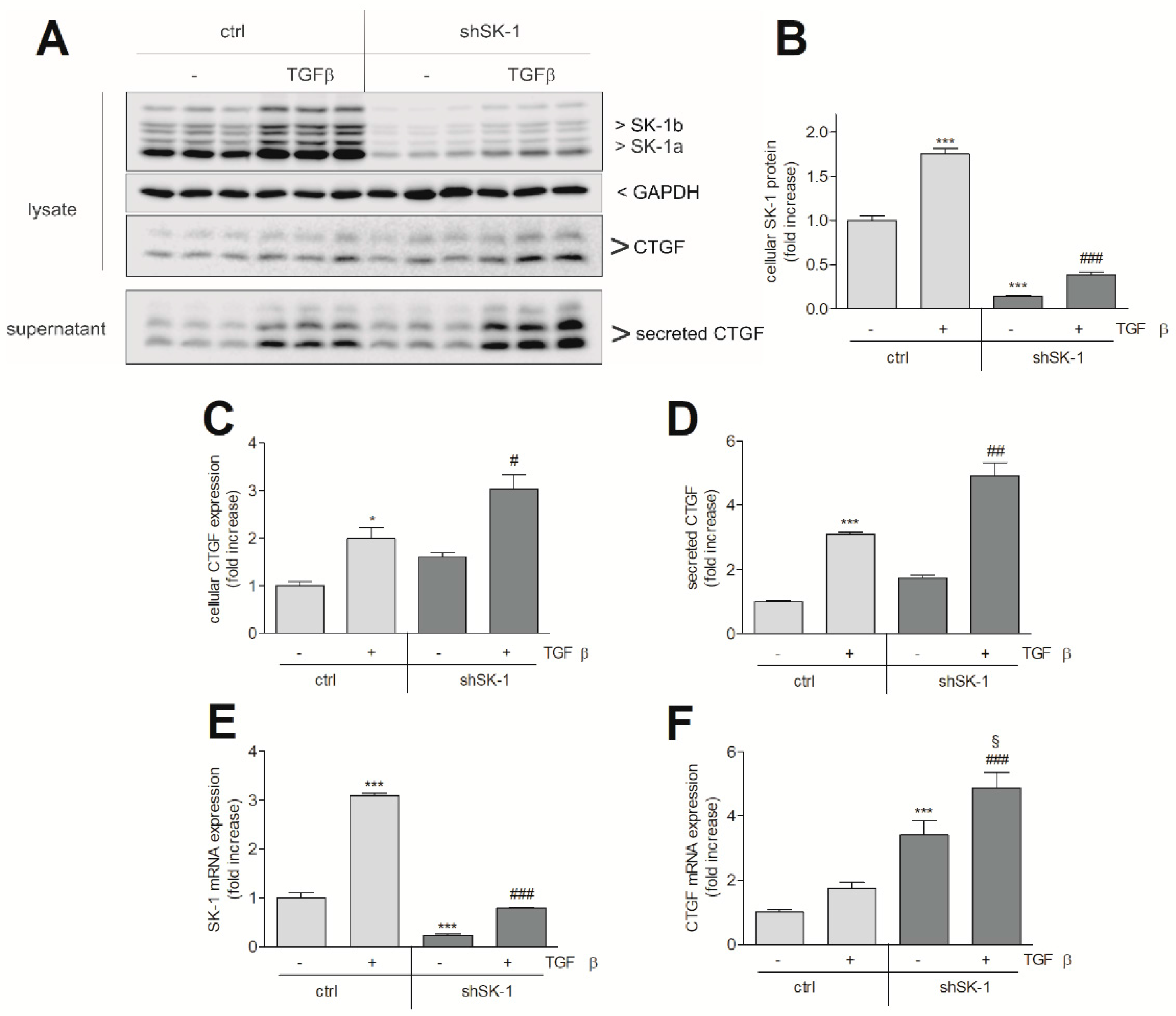 Ijms 19 01498 g003 Ijms 19 01498 g003