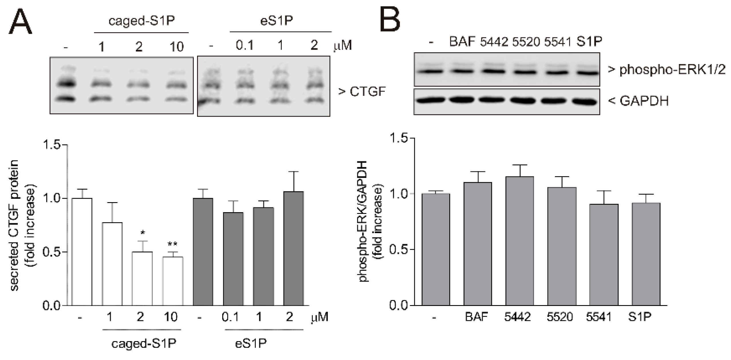 Ijms 19 01498 g004 Ijms 19 01498 g004
