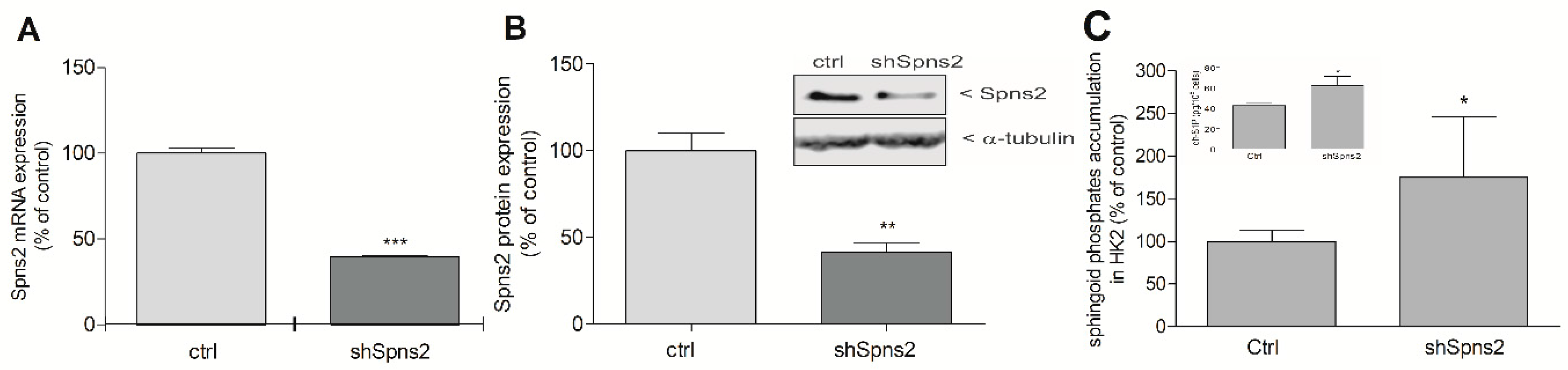 Ijms 19 01498 g005 Ijms 19 01498 g005