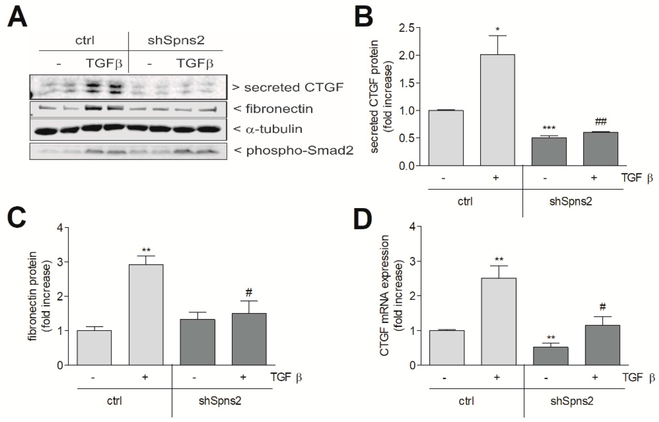 Ijms 19 01498 g006 Ijms 19 01498 g006