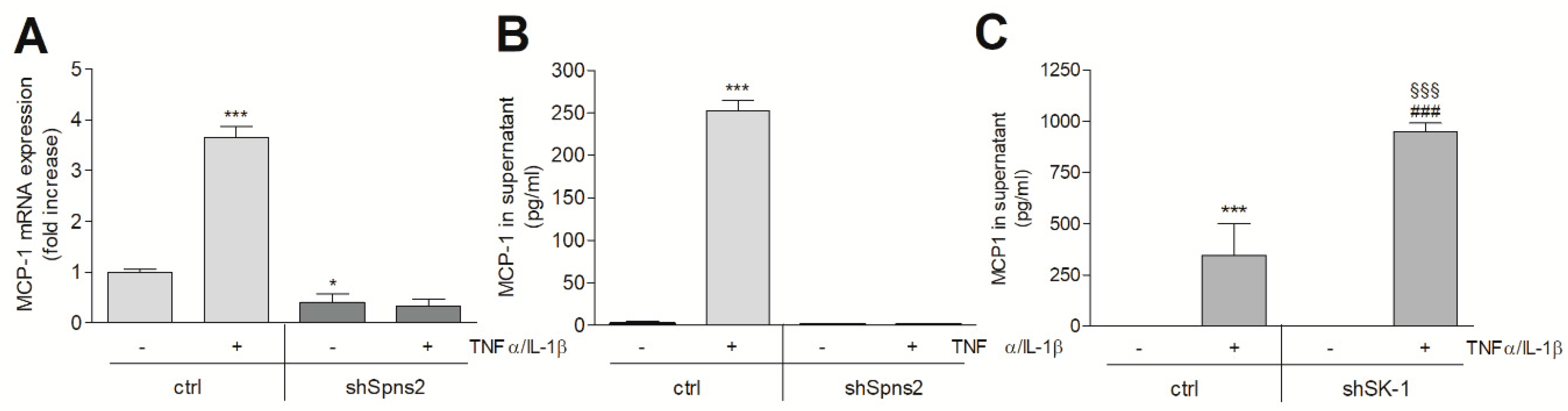 Ijms 19 01498 g007 Ijms 19 01498 g007