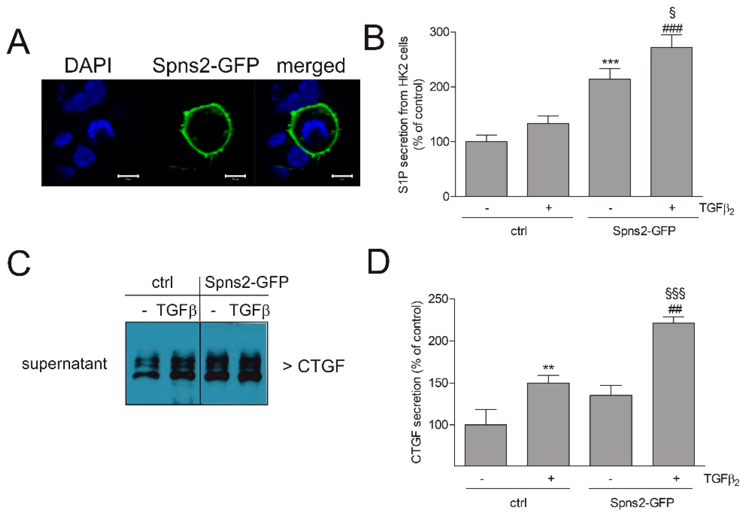 Ijms 19 01498 g008 Ijms 19 01498 g008