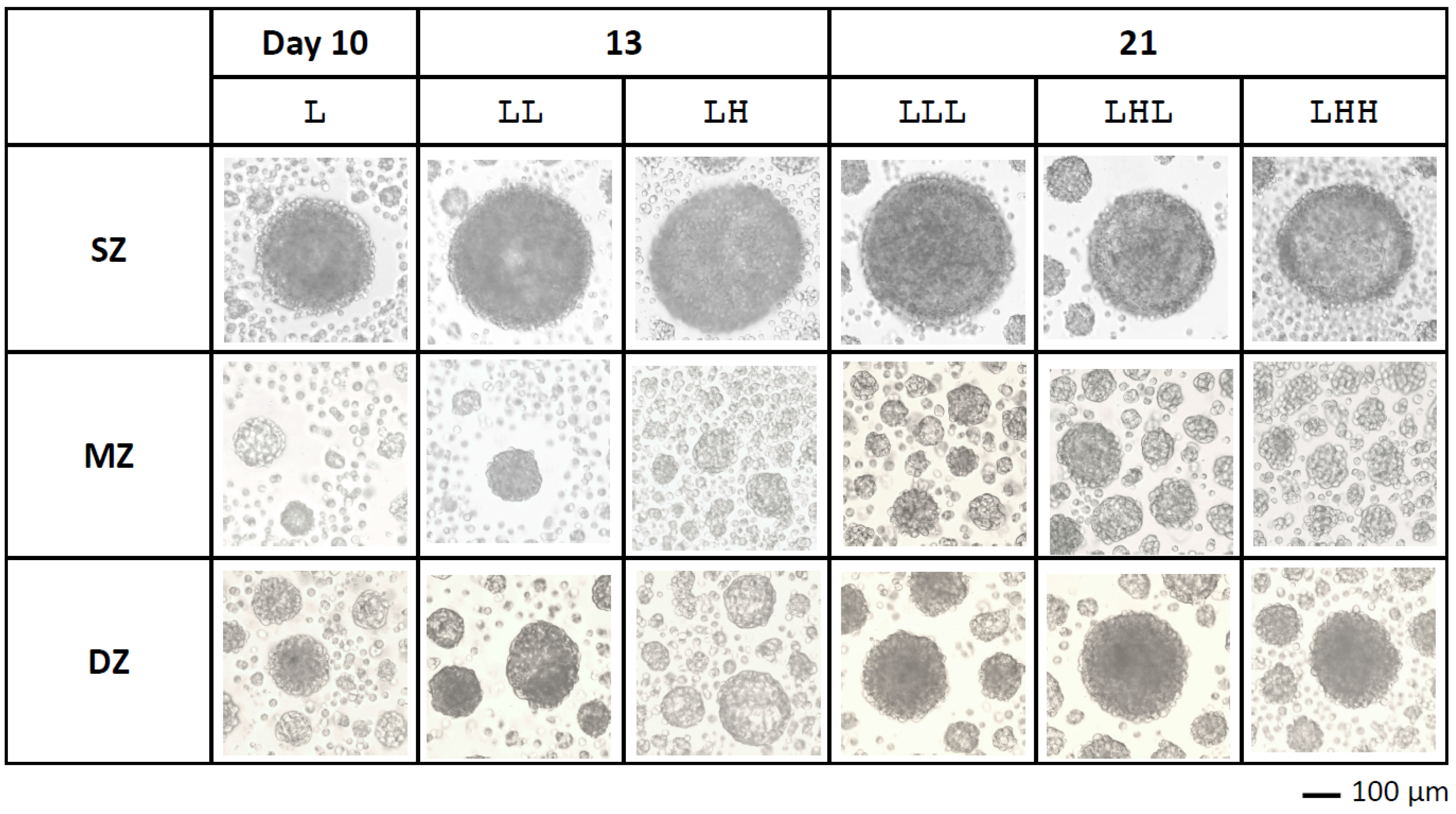 Ijms 19 01507 g002