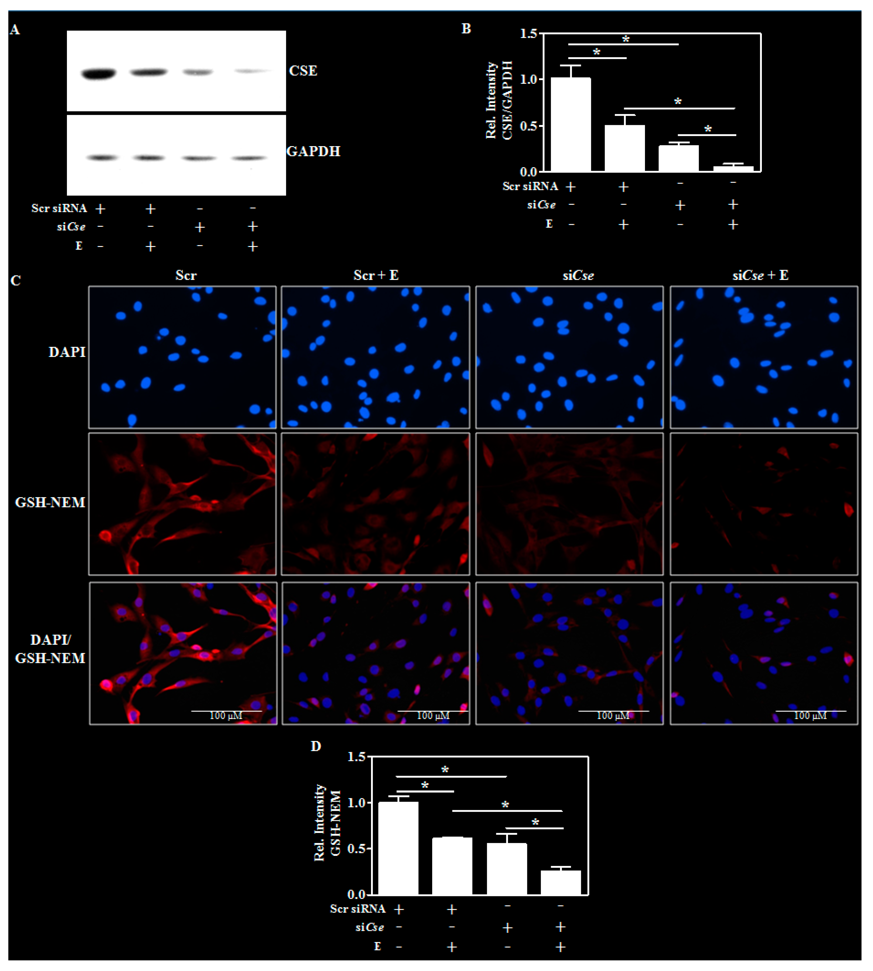 Ijms 19 01537 g005 Ijms 19 01537 g005