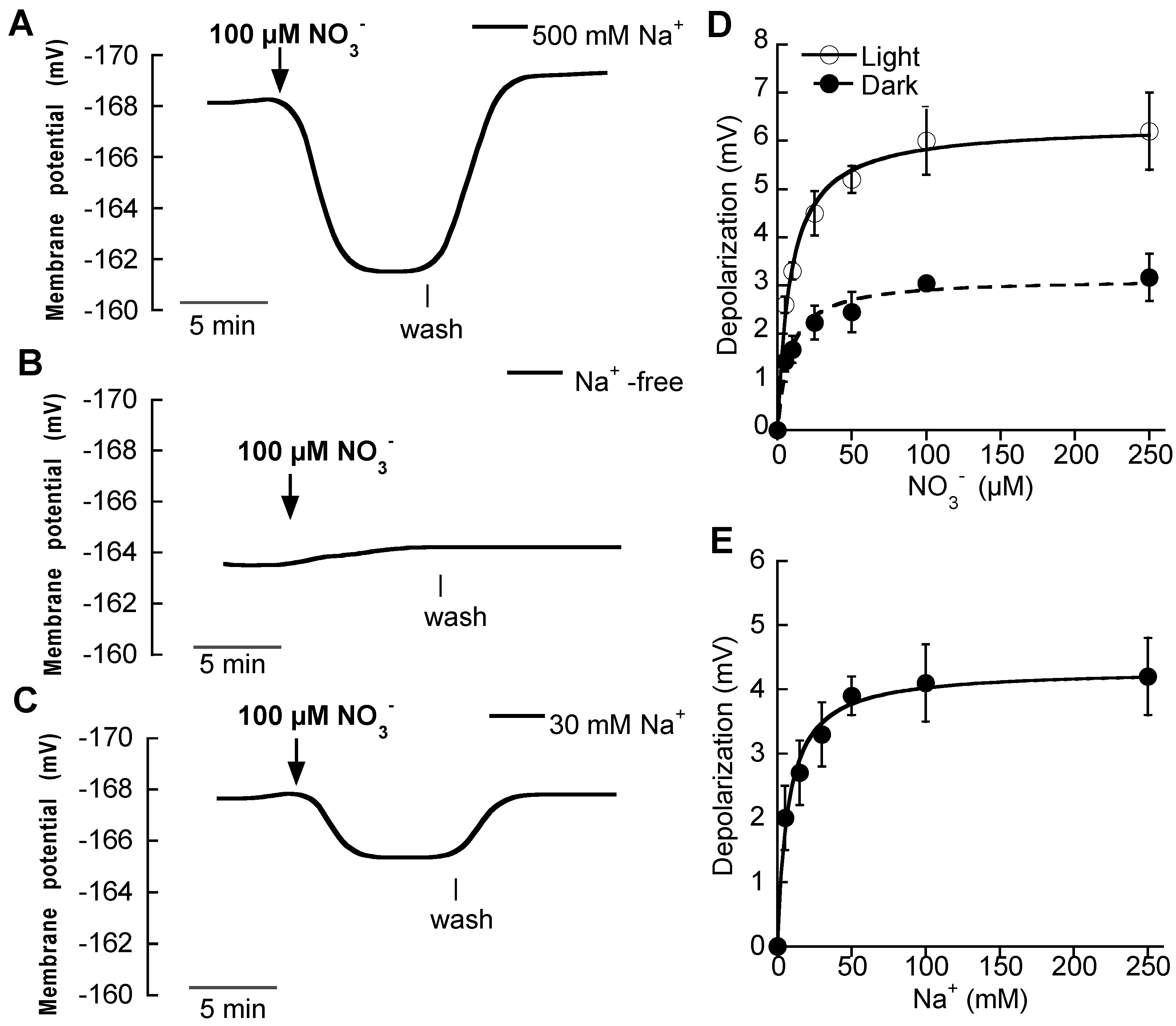 Ijms 19 01570 g001 Ijms 19 01570 g001