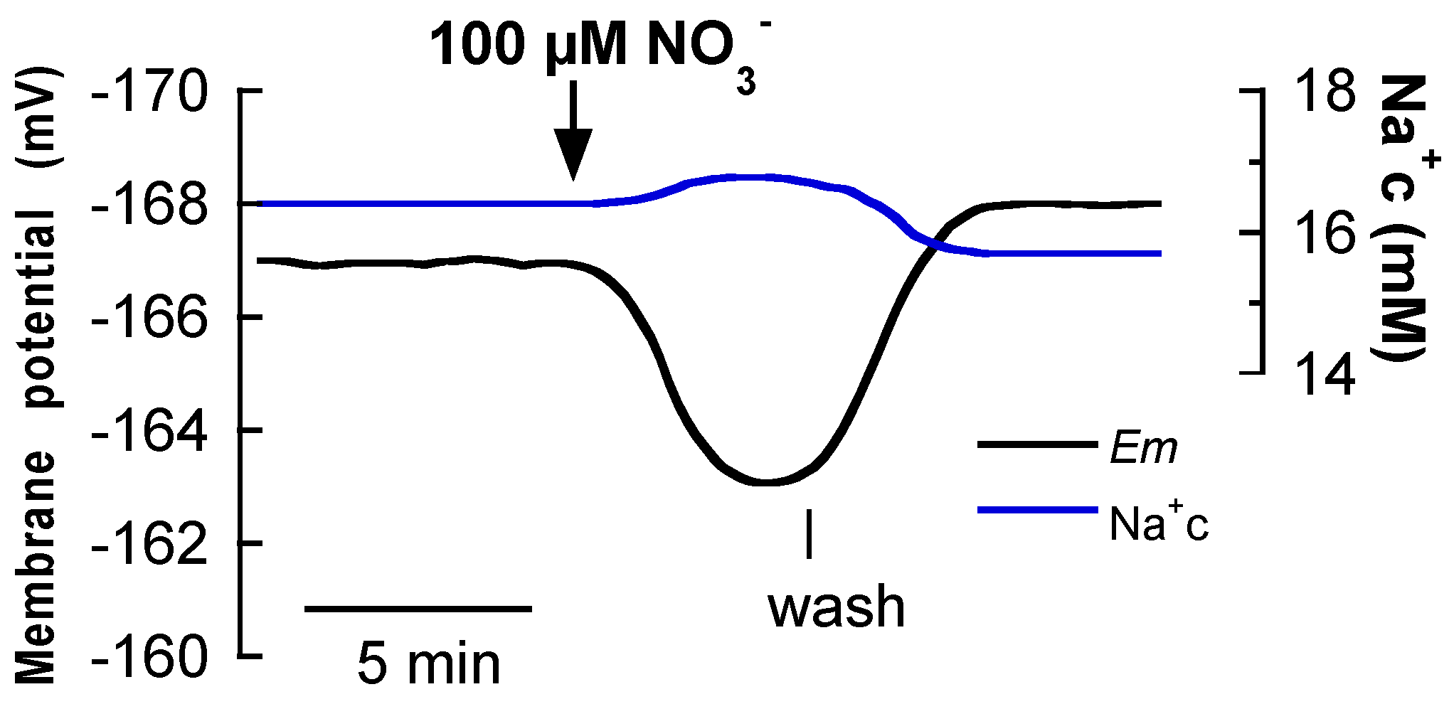 Ijms 19 01570 g002 Ijms 19 01570 g002