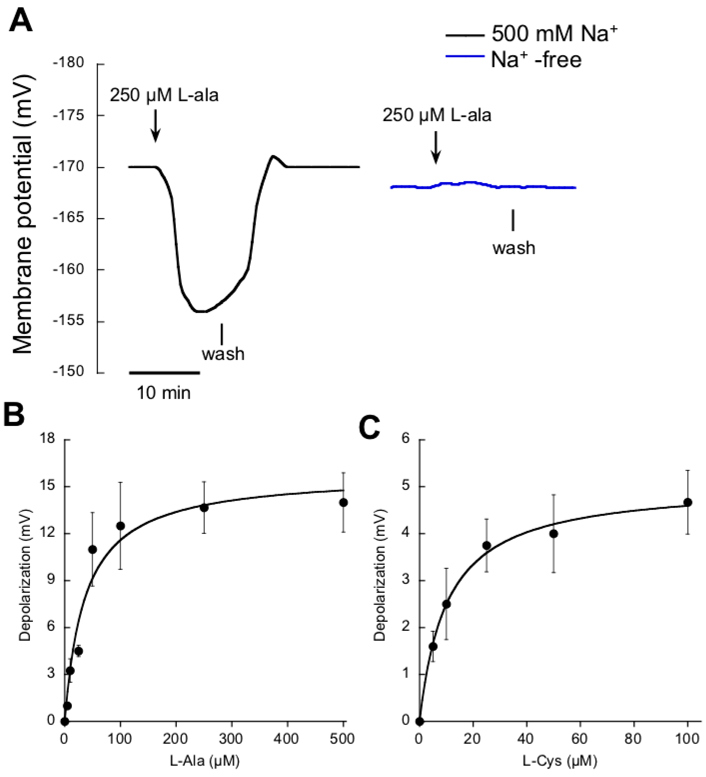 Ijms 19 01570 g003 Ijms 19 01570 g003